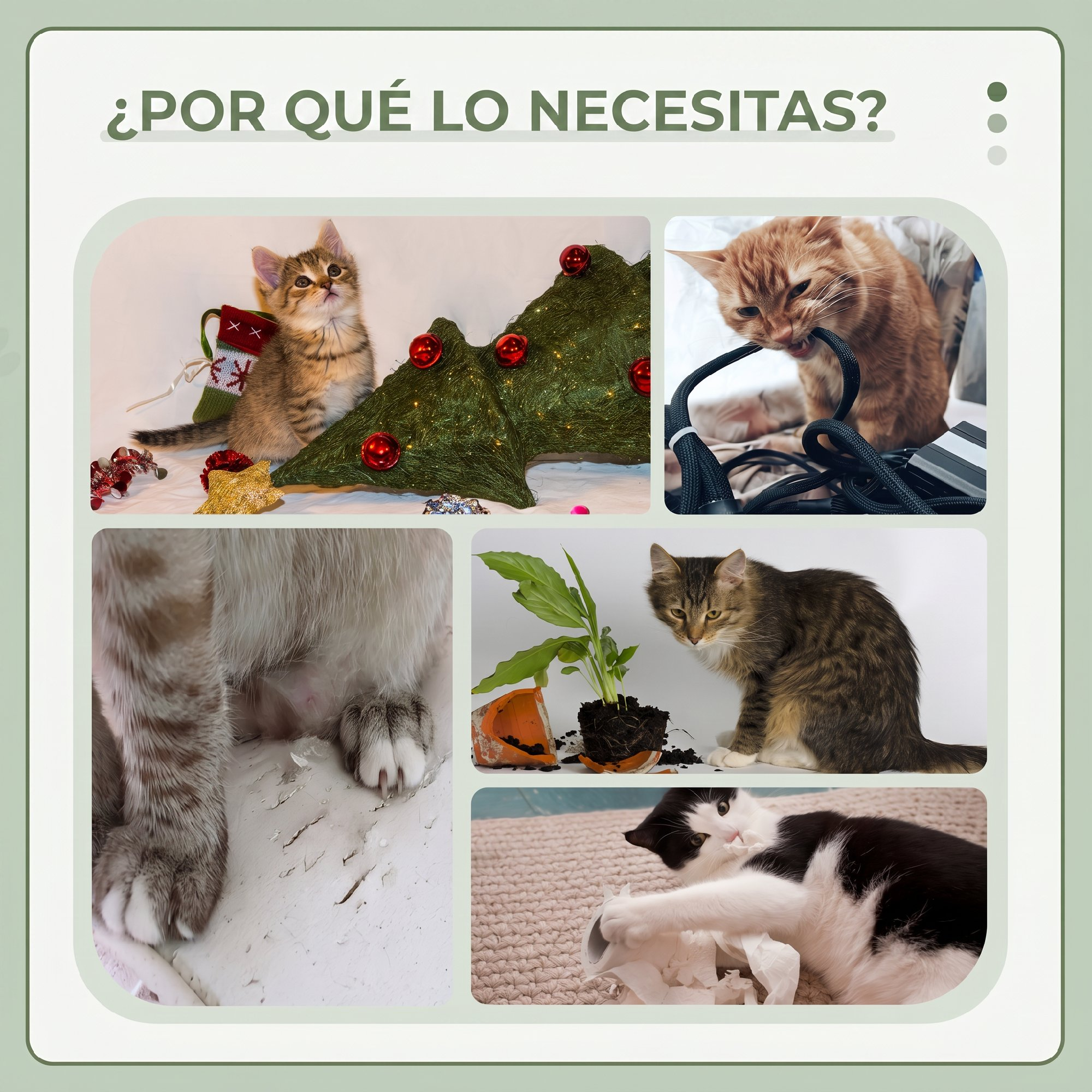 Un collage que muestra a varios gatos pillados in fraganti haciendo travesuras, como rascar y morder.