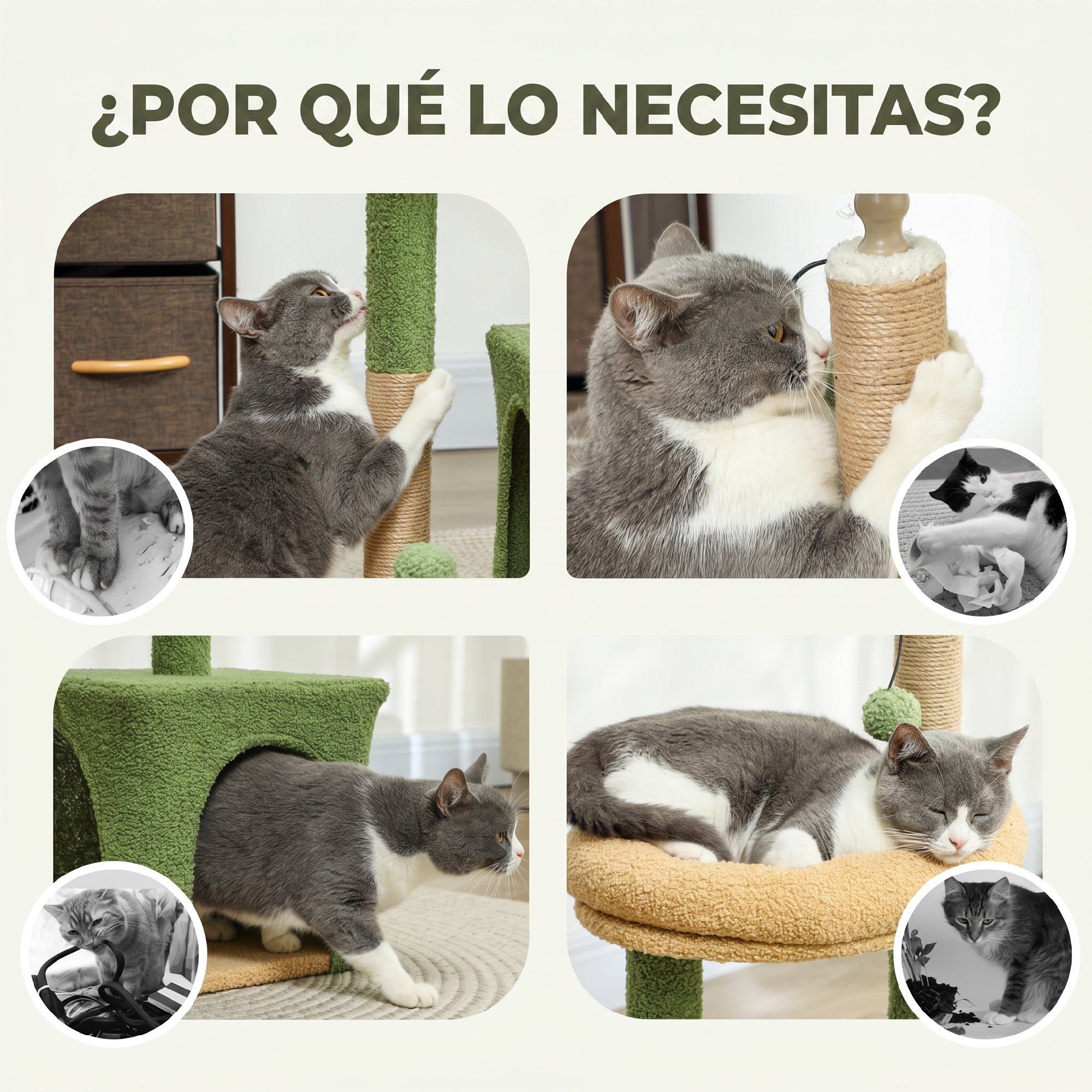 Un gato gris y blanco usando un rascador para rascarse, jugar y descansar, con miniaturas de daños.