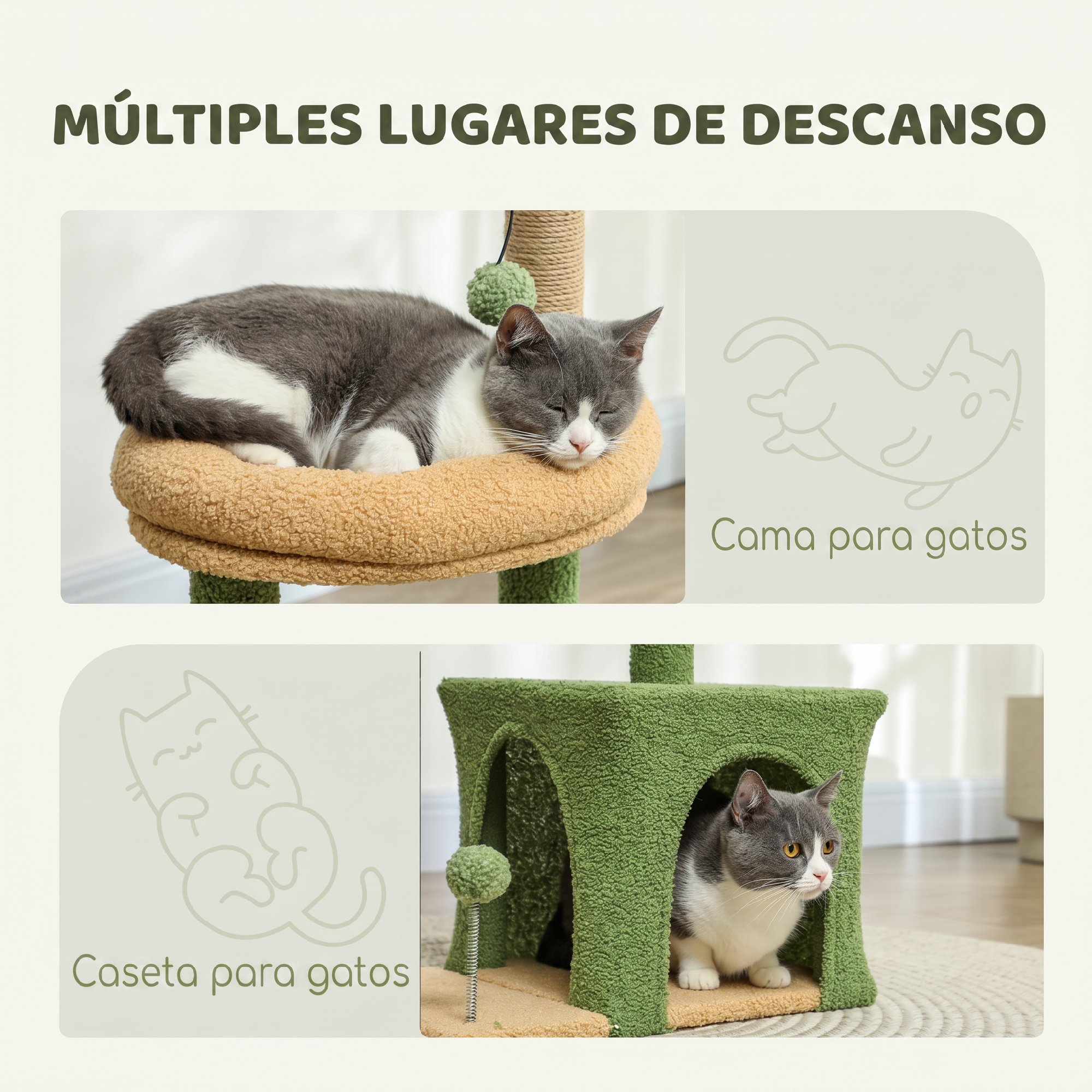 Un gato gris y blanco duerme en una cama beige y se sienta dentro de una casa verde.