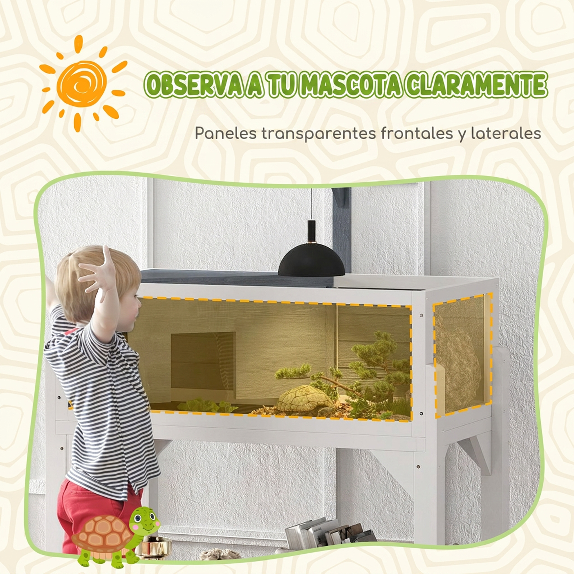 Niño pequeño mira un terrario blanco con una tortuga y paneles frontales transparentes.
