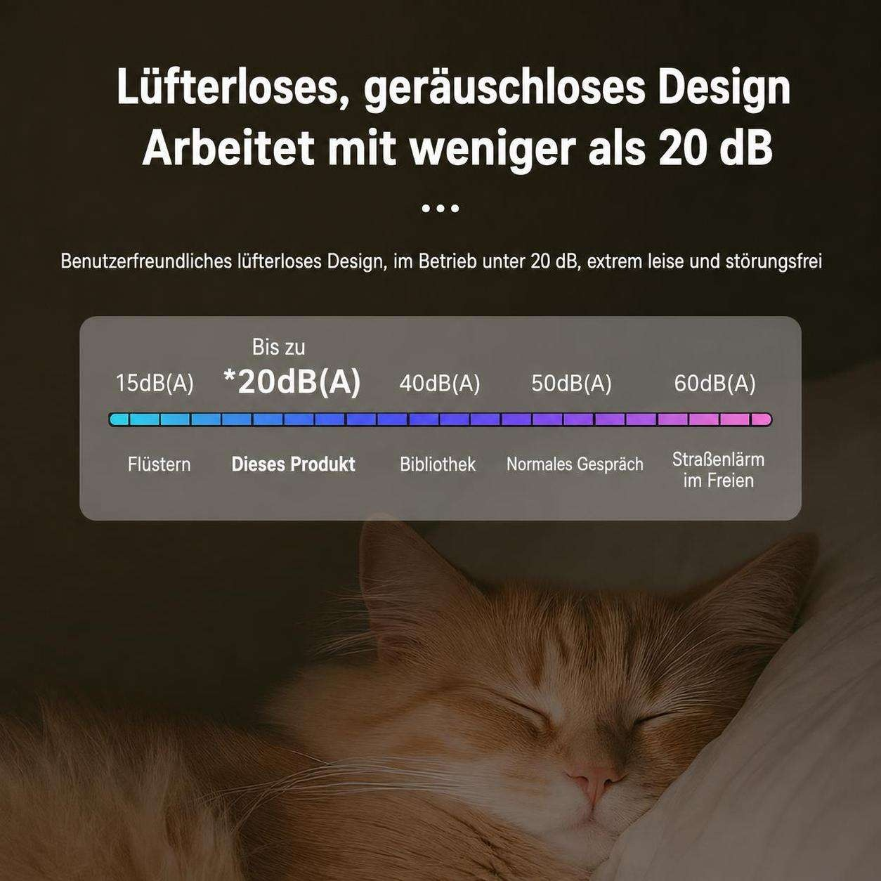 Geräuschloses Design unter 20 dB, leiser als eine Bibliothek. Unten schläft eine Katze.