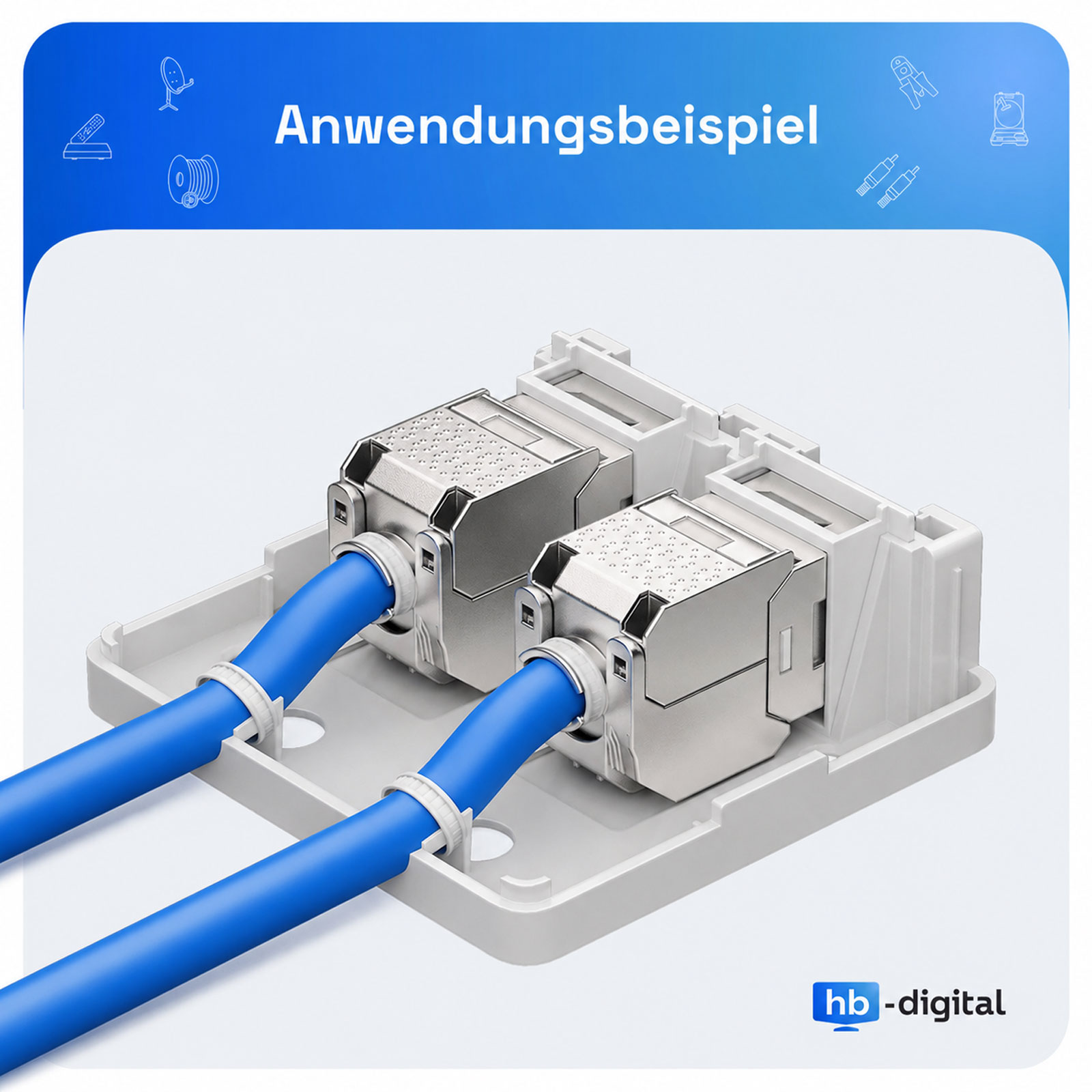 Zwei blaue Netzkabel, angeschlossen an silberne Keystone-Module in einem weißen Gehäuse.
