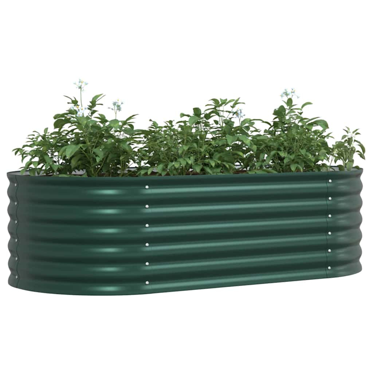 Ein langes, grünes Hochbeet aus Metall mit grünen Pflanzen und kleinen weißen Blüten vor weißem Hintergrund.