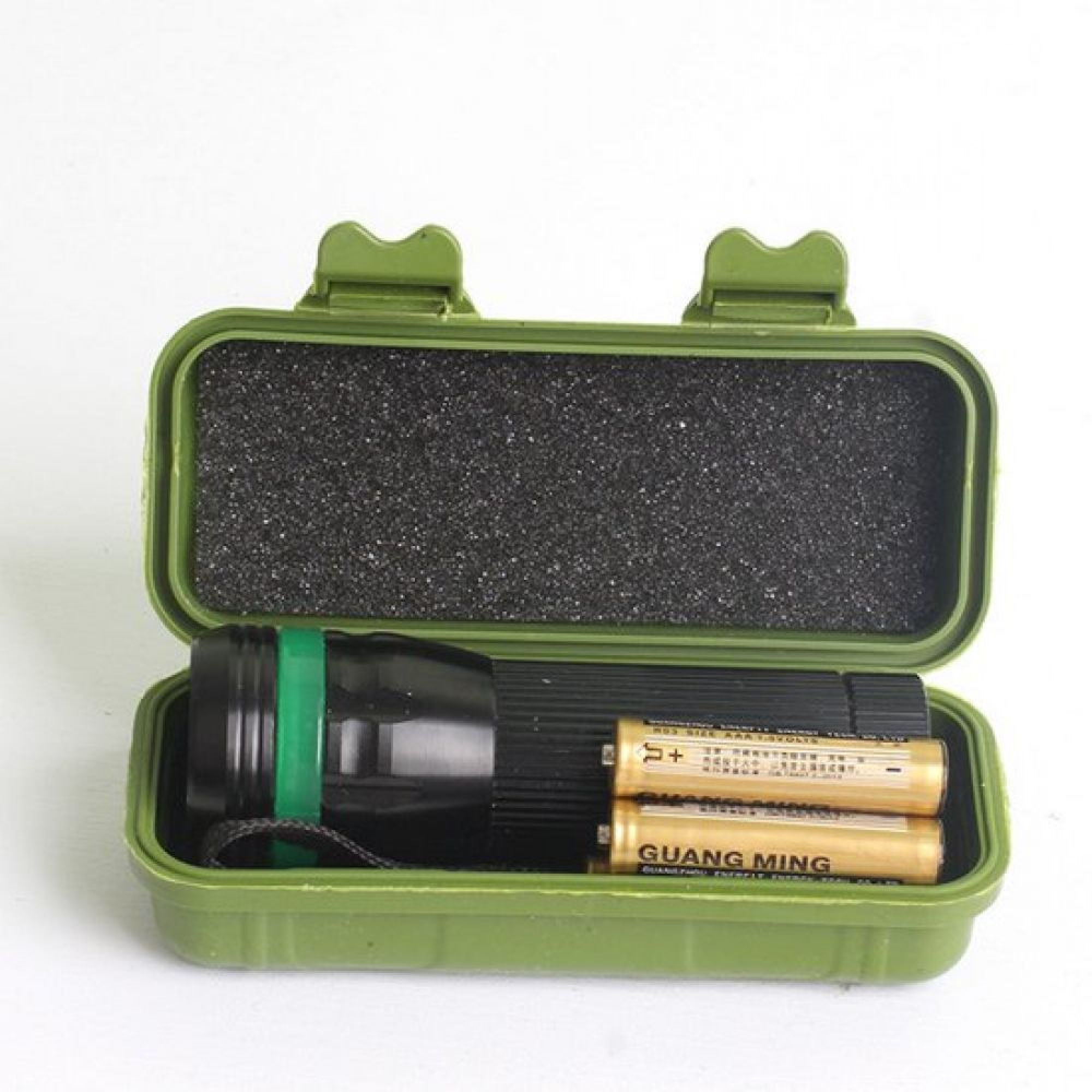 Eine grüne Aufbewahrungsbox enthält eine schwarze Taschenlampe und zwei gelbe Batterien vor weißem Hintergrund.