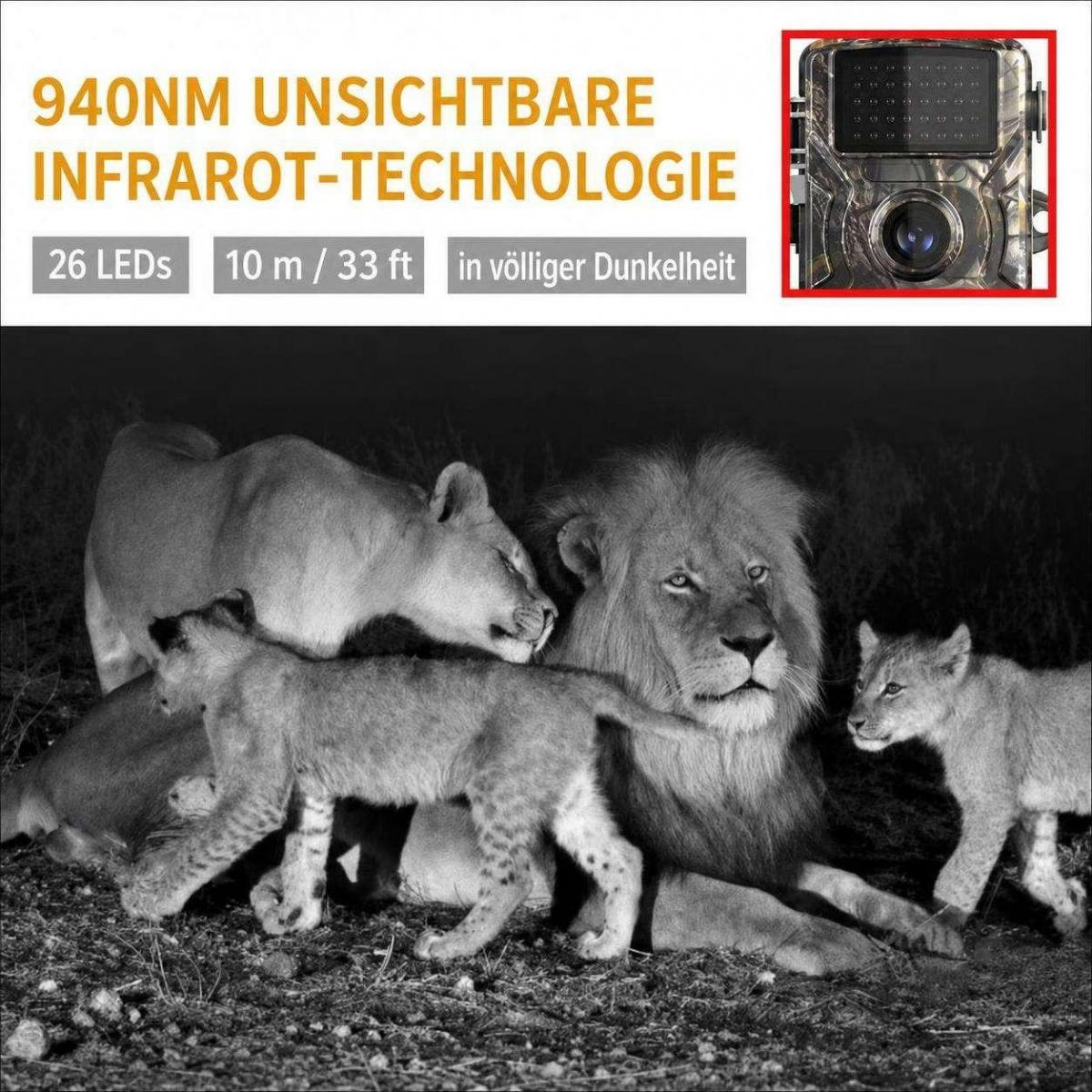Schwarzweißfoto einer Löwenfamilie nachts aufgenommen mit Infrarottechnologie.