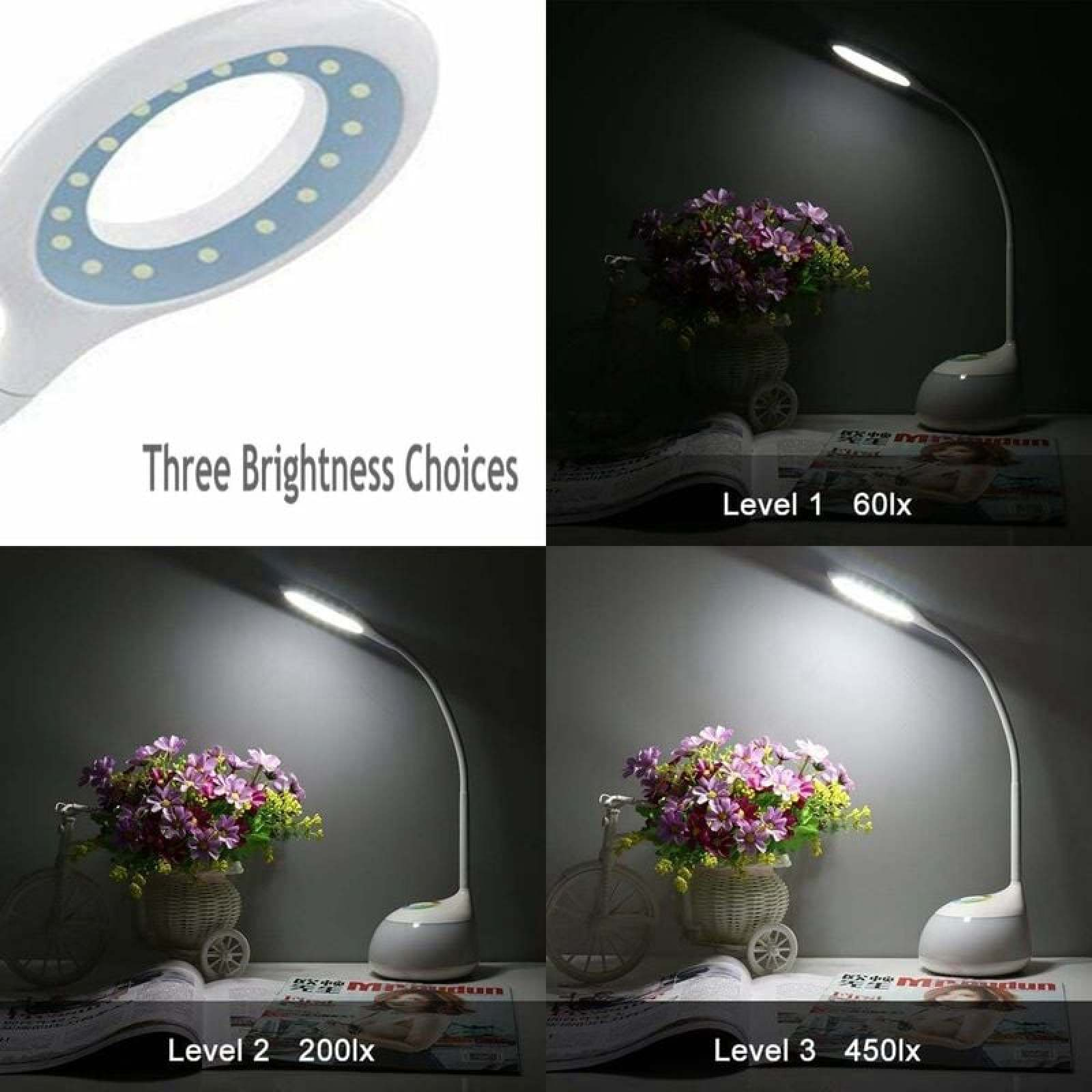 Vier Bilder zeigen eine Schreibtischlampe mit drei Helligkeitsstufen (60lx, 200lx, 450lx) neben Blumen.