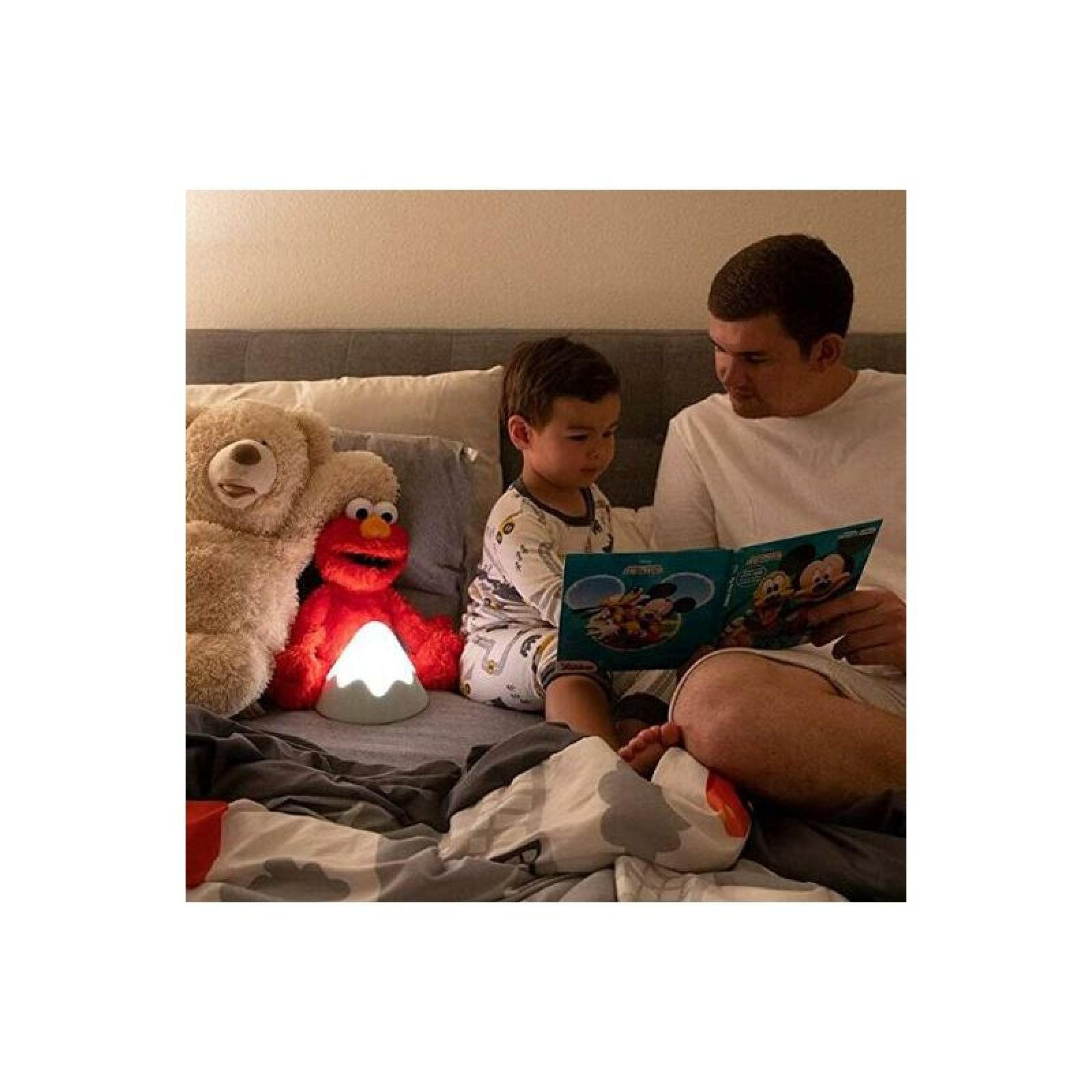 Ein Vater und Sohn lesen im Bett ein Buch neben einem Nachtlicht, einem Teddybären und einem Elmo-Plüschtier.