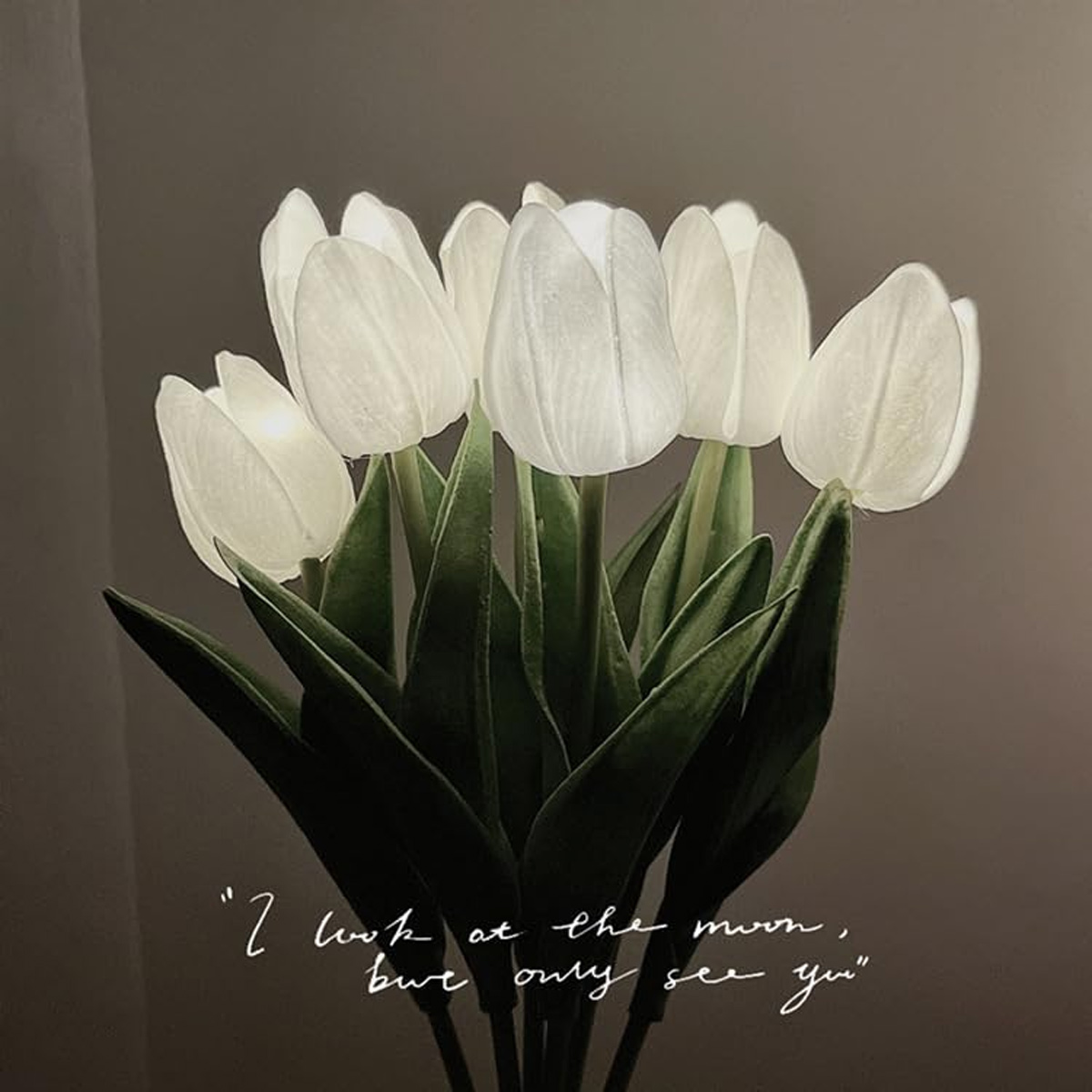 Ein Strauß weißer Tulpen vor dunklem Hintergrund mit dem Text Ich sehe den Mond, aber nur dich.