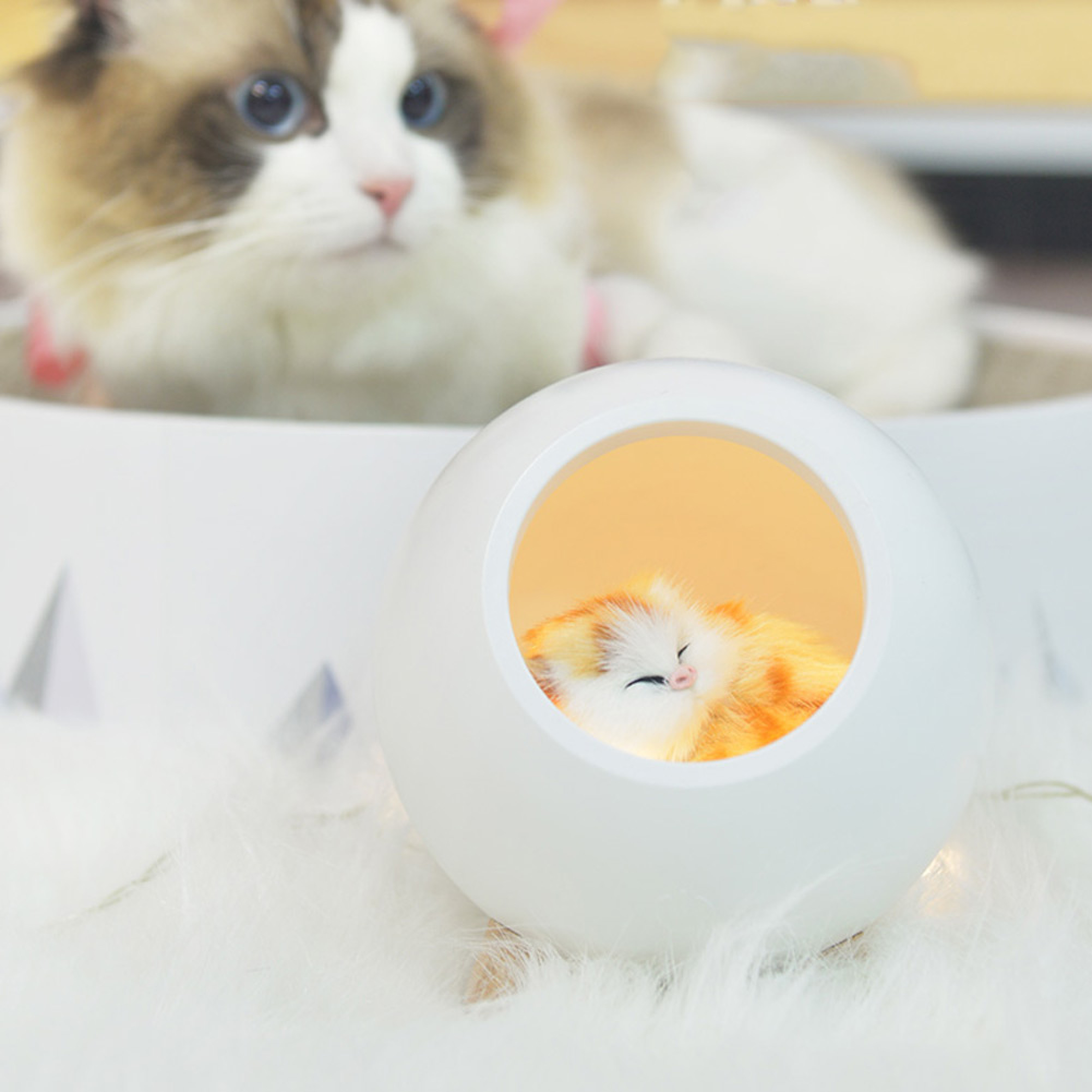 Eine flauschige Katze blickt auf eine leuchtende weiße Kapsel mit einem schlafenden Spielzeugkätzchen.