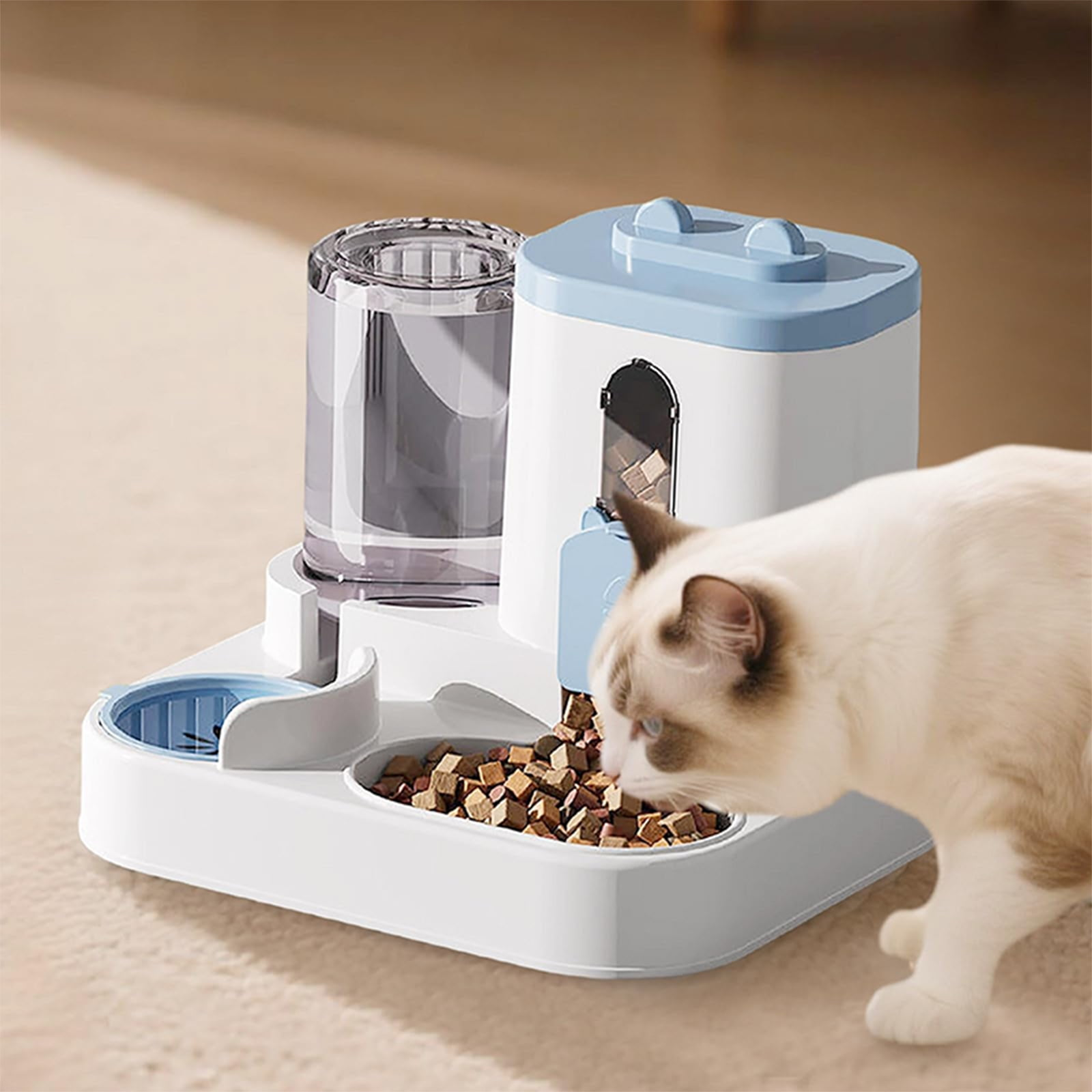 Eine helle Katze frisst Trockenfutter aus einem automatischen weiß-blauen Haustierfütterer.