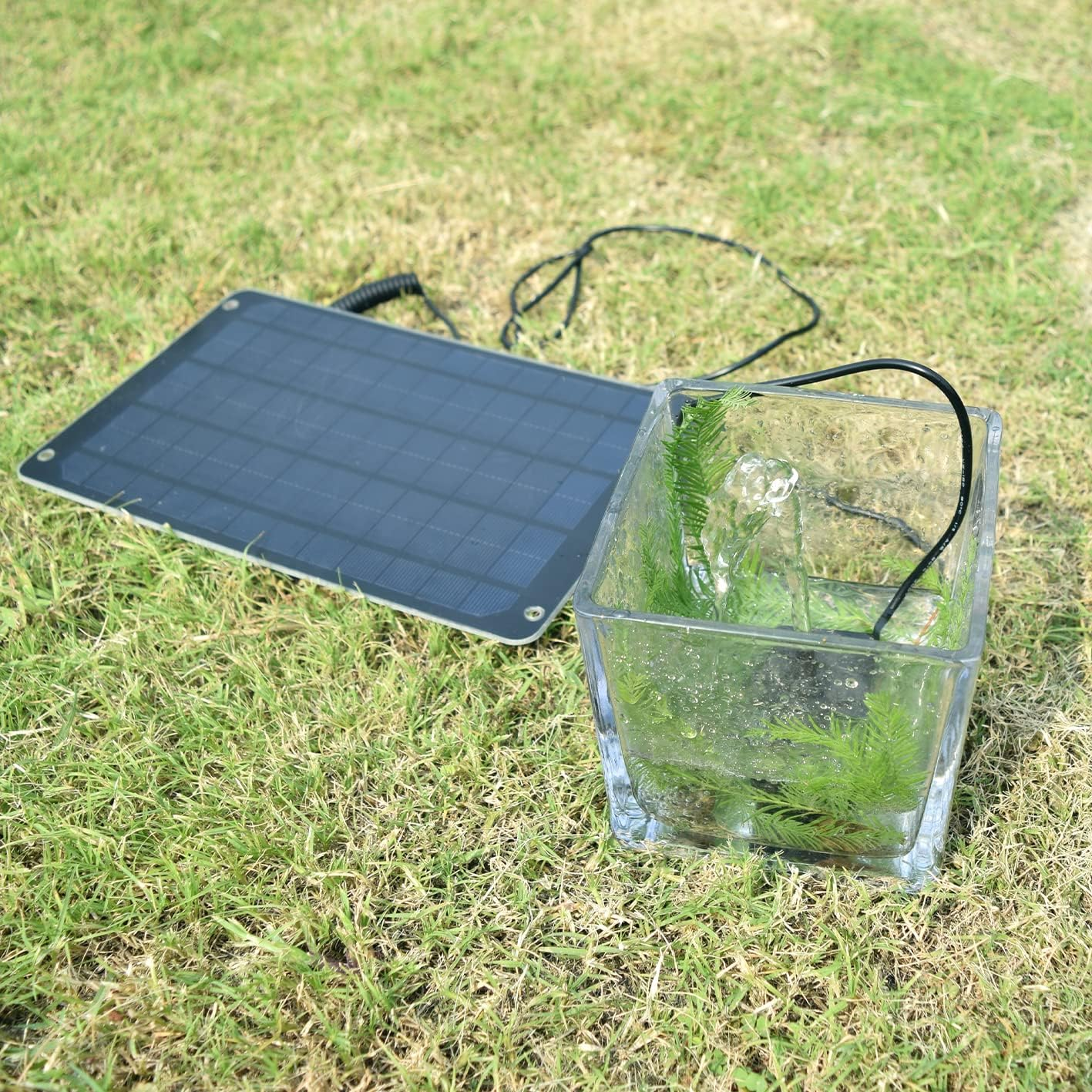 Ein kleines Solarpanel und ein Glasbecken mit Wasser, verbunden durch ein Kabel, stehen auf einer Rasenfläche.
