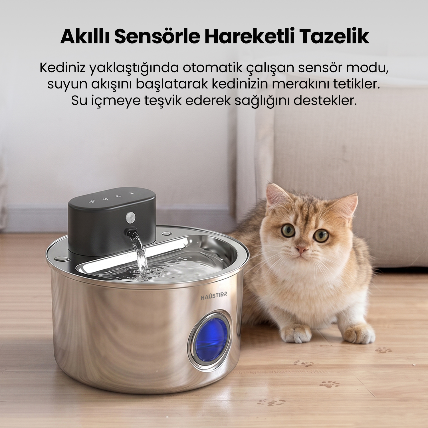 Sevimli bir kedi, ahşap zemindeki paslanmaz çelik evcil hayvan su pınarısının yanında oturuyor.