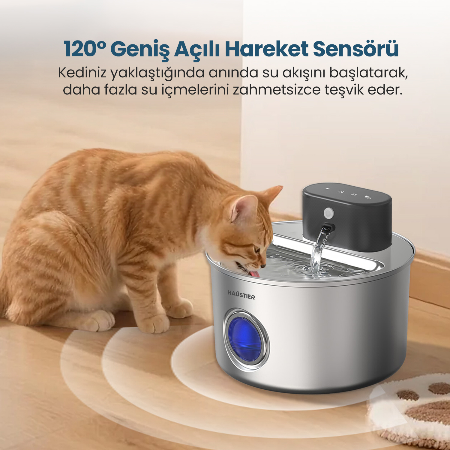 Turuncu bir tekir kedi, hareket sensörlü paslanmaz çelik otomatik su pınarından su içiyor.