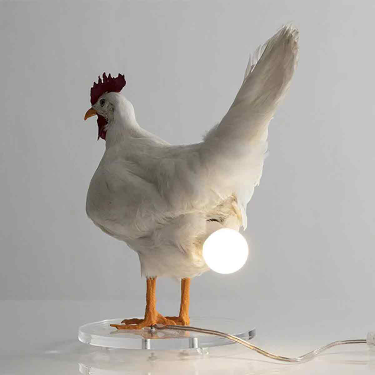 Eine taxidermierte weiße Henne steht auf einer runden Platte und hält ein leuchtendes Ei unter ihrem Schwanz.