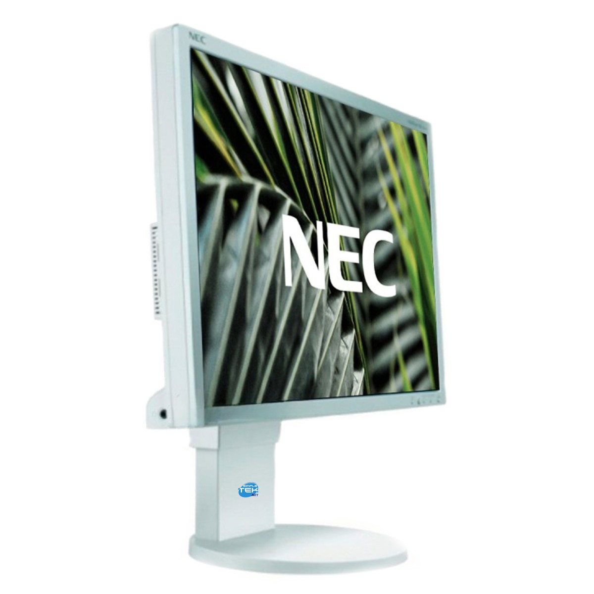 Un monitor NEC bianco che mostra foglie di palma e il logo bianco NEC poggia su una base rotonda.