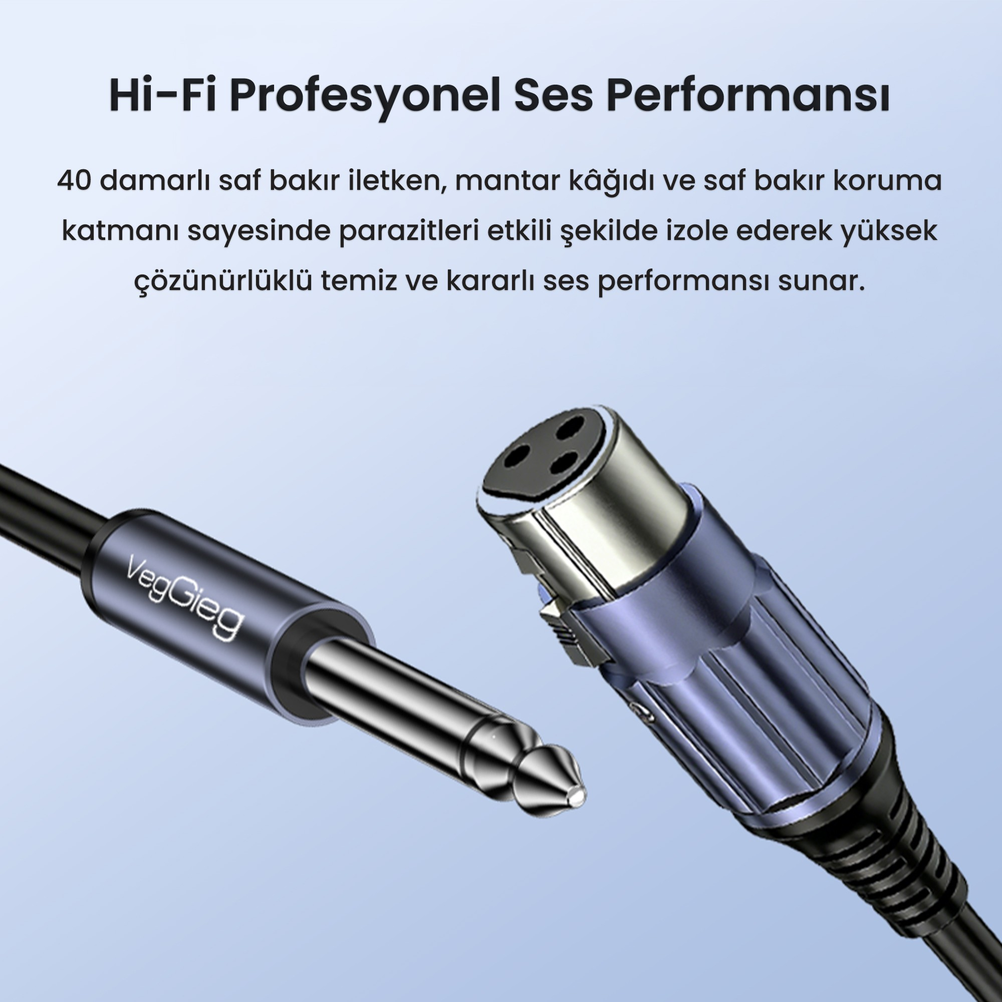 Mavi arka plan üzerinde Türkçe metin bulunan 6.3 mm jak ve XLR konnektör.