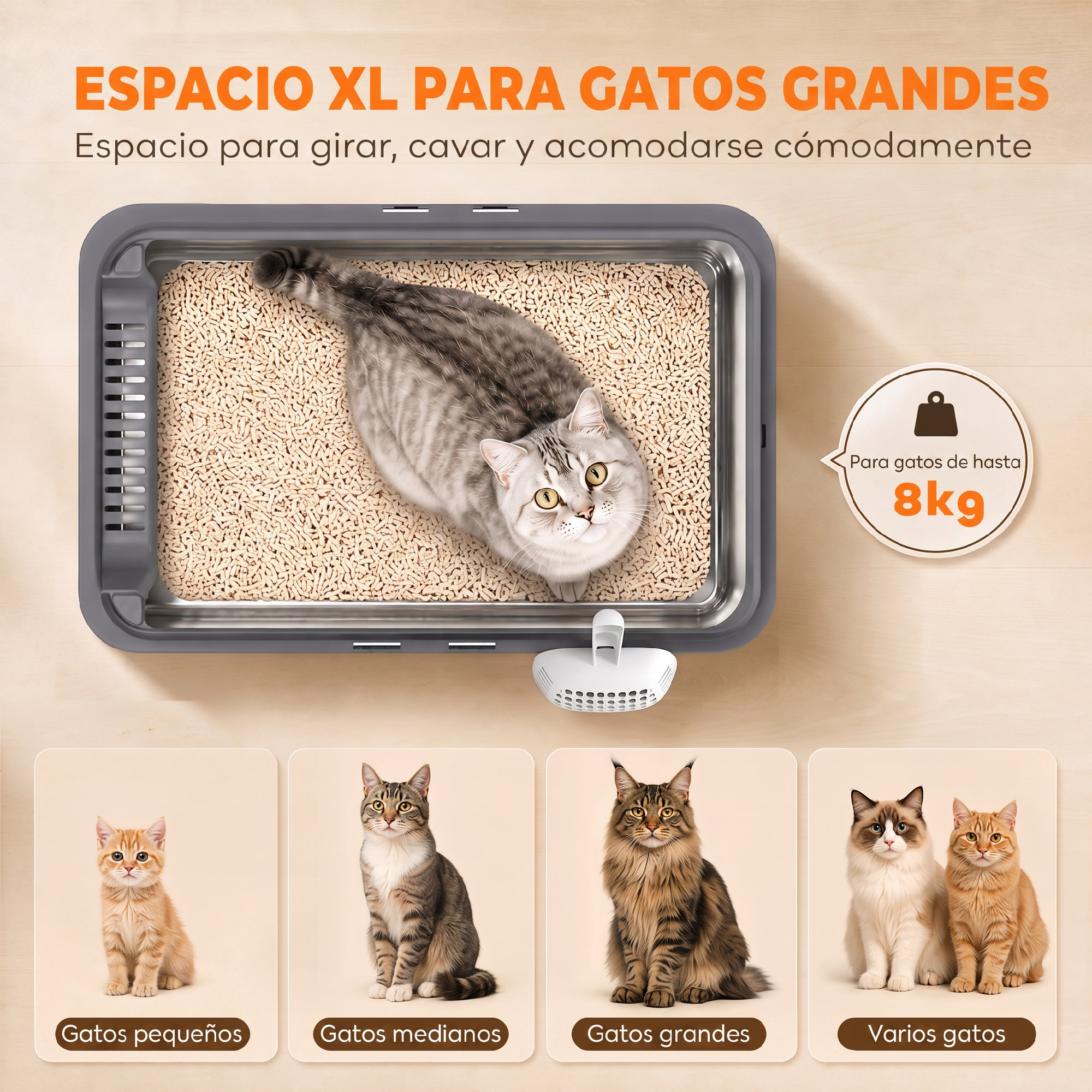 Un arenero grande con bordes grises, pellets de madera y un gato gris, mostrando ejemplos para varios tamaños de gatos.