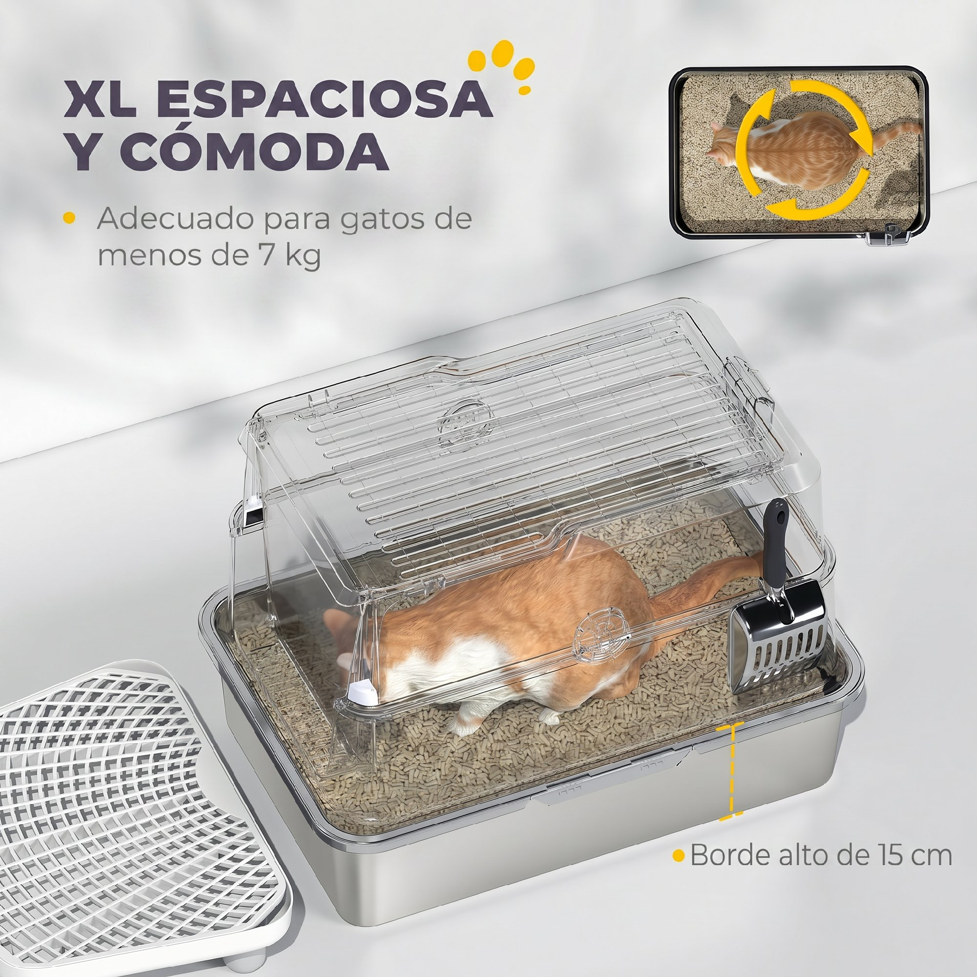 Un arenero para gatos grande y transparente con base gris y un gato naranja y blanco dentro.