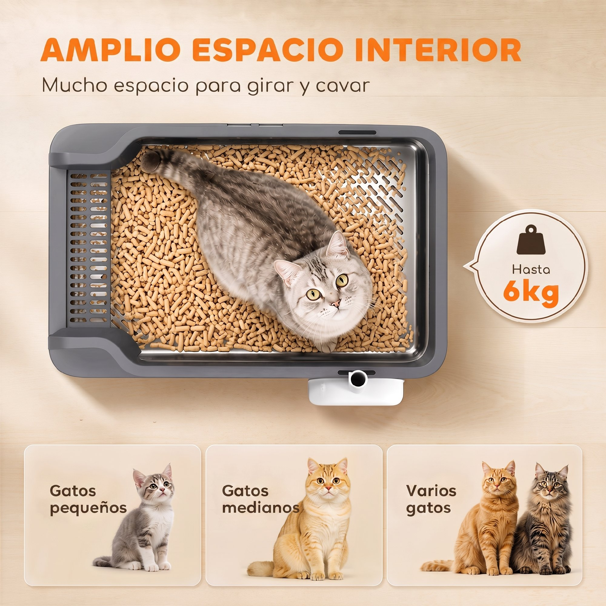 Un gato en una caja de arena gris con pellets de madera, texto en español e imágenes de gatos.