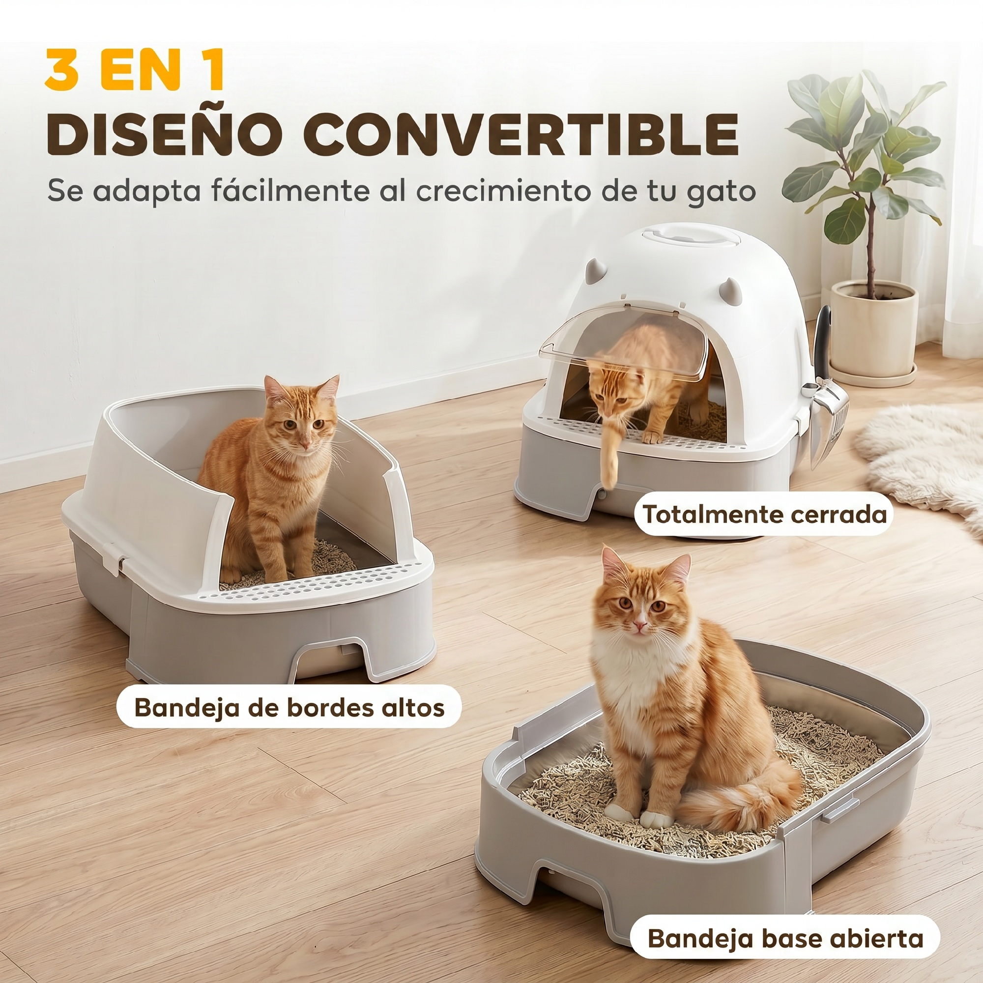 Tres gatos naranjas usan diferentes areneros grises y blancos en un suelo de madera en una habitación luminosa.