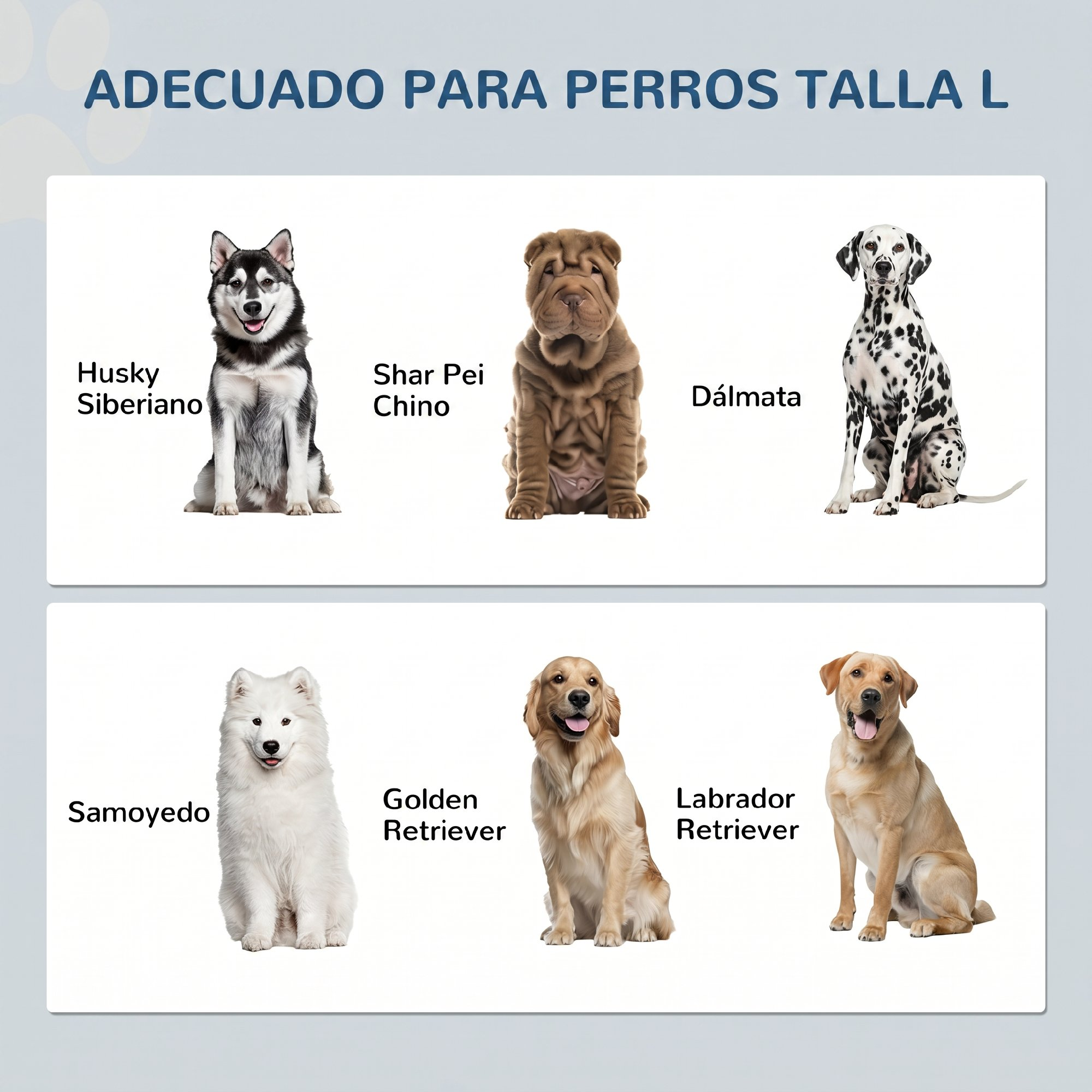 Gráfico que muestra seis razas de perros adecuadas para perros grandes.