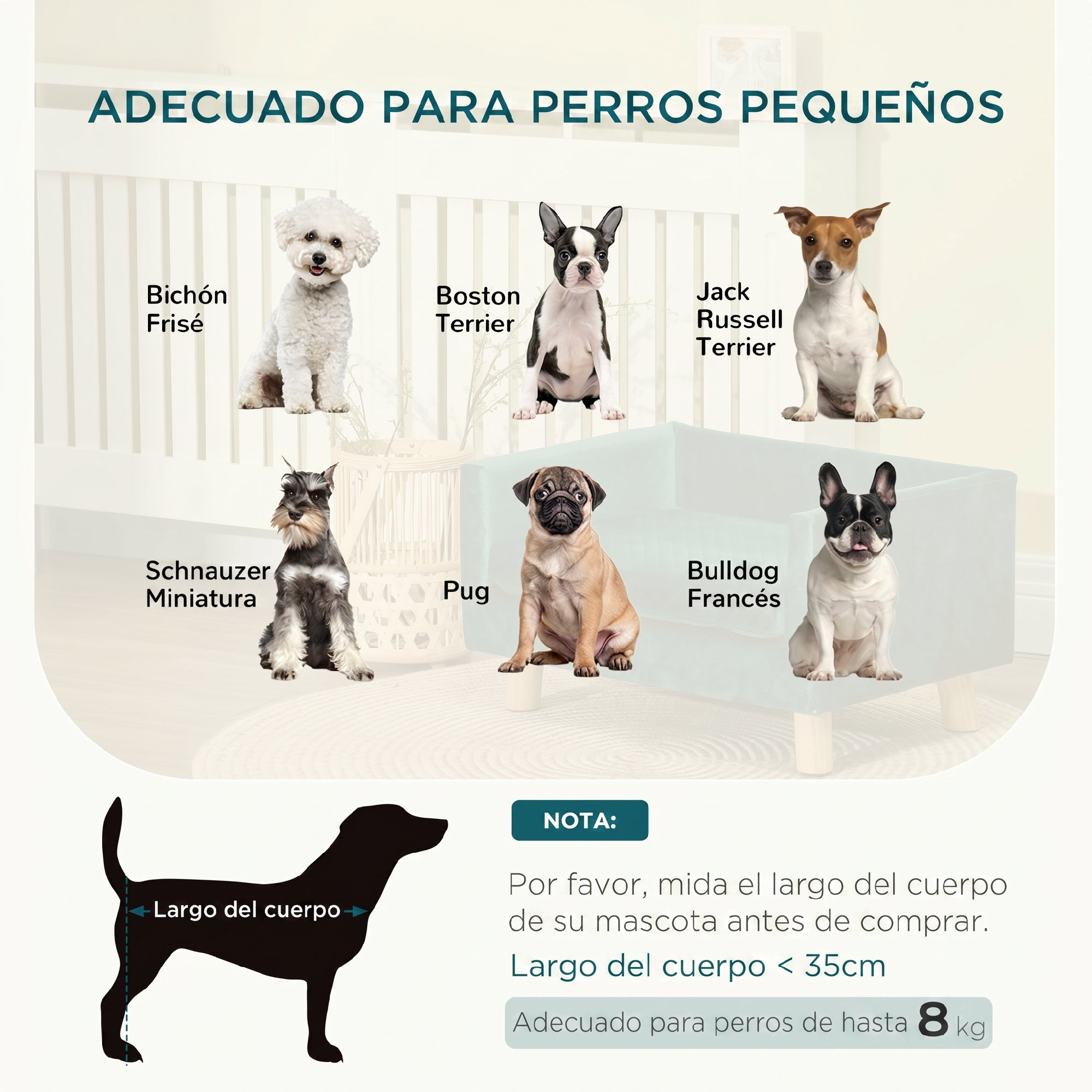 Infografía con razas de perros pequeños para una cama, con guía de longitud corporal y peso.