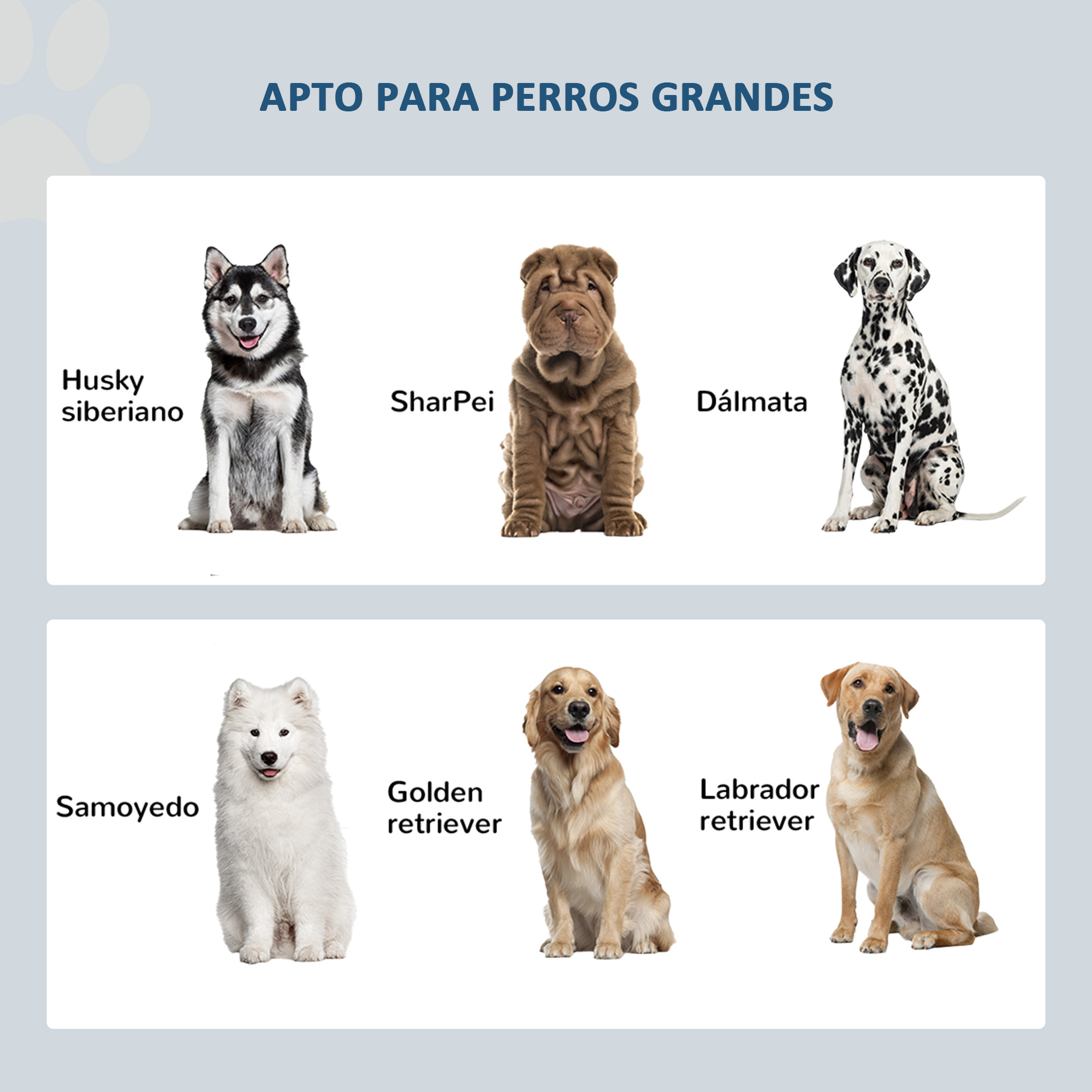 Un póster informativo que muestra seis razas de perros grandes con sus nombres.