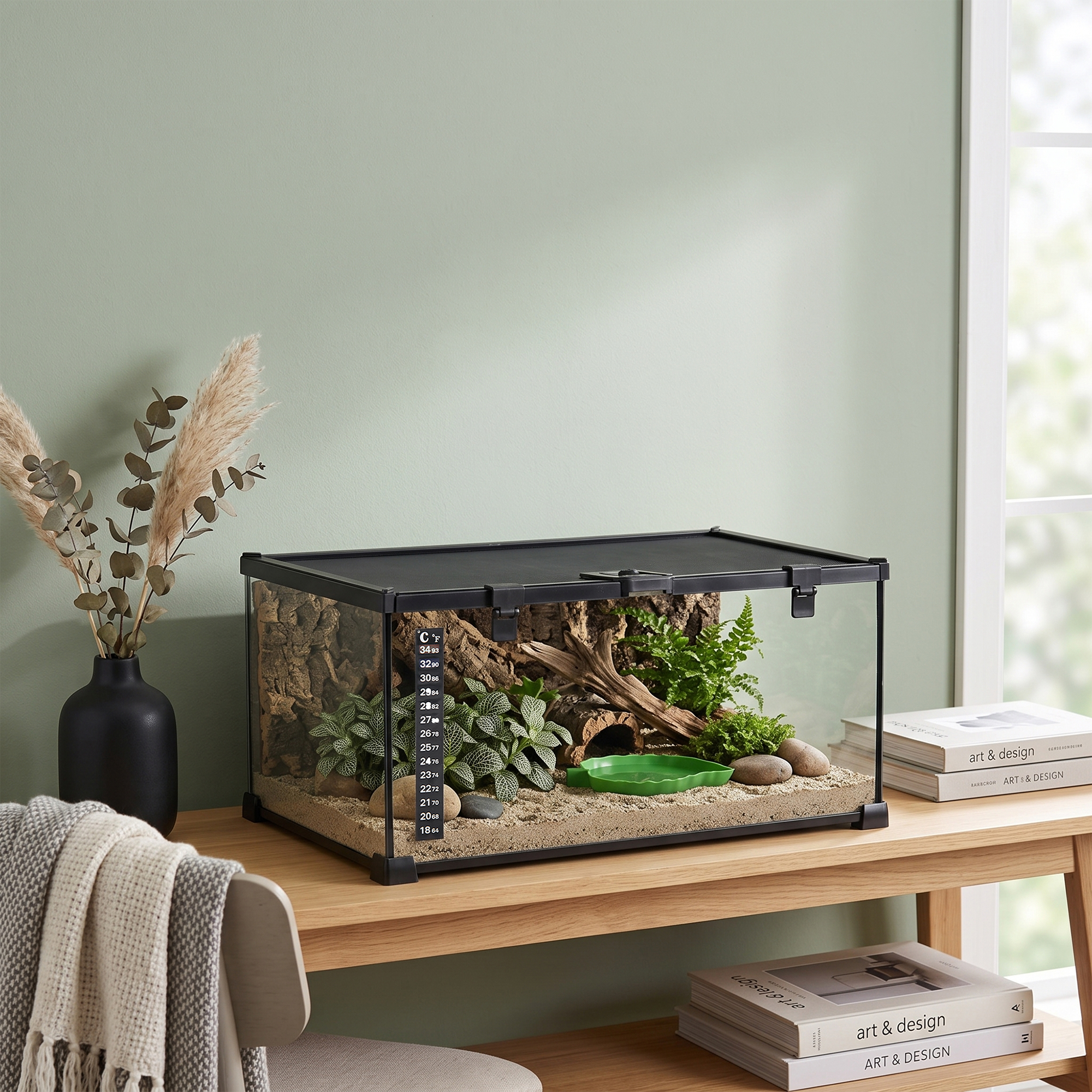 Terrario de cristal en mesa de madera con arena, plantas y termómetro ante pared verde.