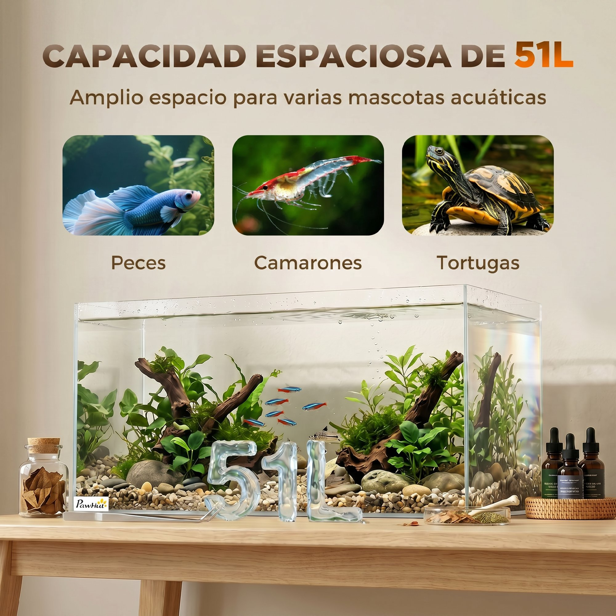 Un acuario de vidrio de 51 litros con plantas, madera y peces pequeños, junto con fotos insertadas de peces, un camarón y una tortuga.