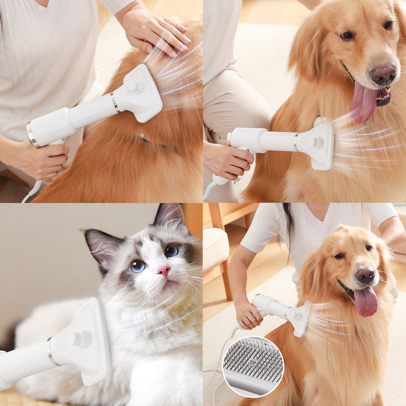 Eine Person benutzt einen weißen 2-in-1 Haustier-Föhn für einen Golden Retriever und eine Katze.