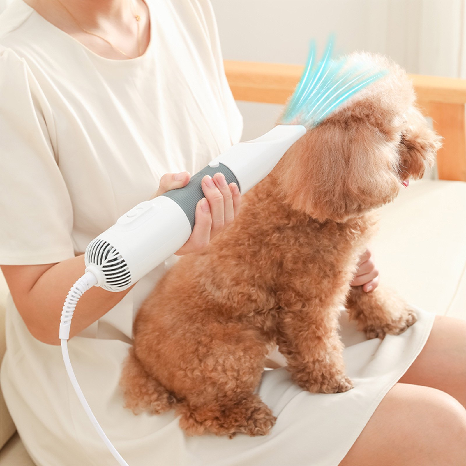 Eine Person trocknet einen pelzigen braunen Hund auf ihrem Schoß mit einem weißen Haartrockner.