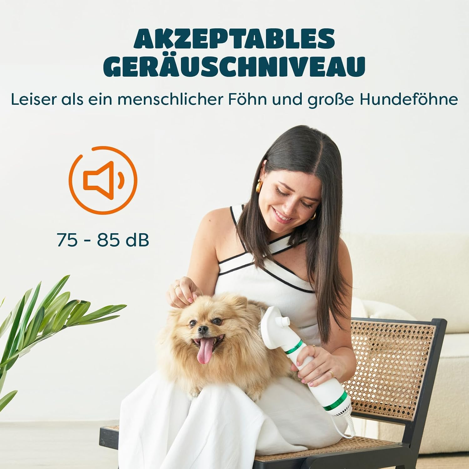 Eine Frau bürstet ein kleines, flauschiges Hündchen, während Text über den Geräuschpegel angezeigt wird.