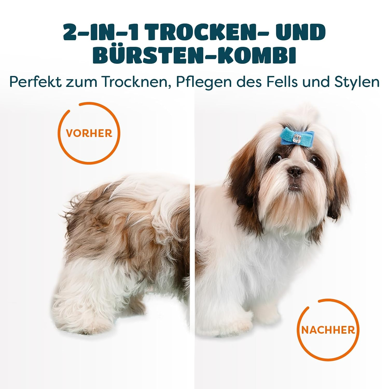 Vorher-Nachher-Vergleich eines Hundes mit ungepflegtem und gepflegtem Fell.