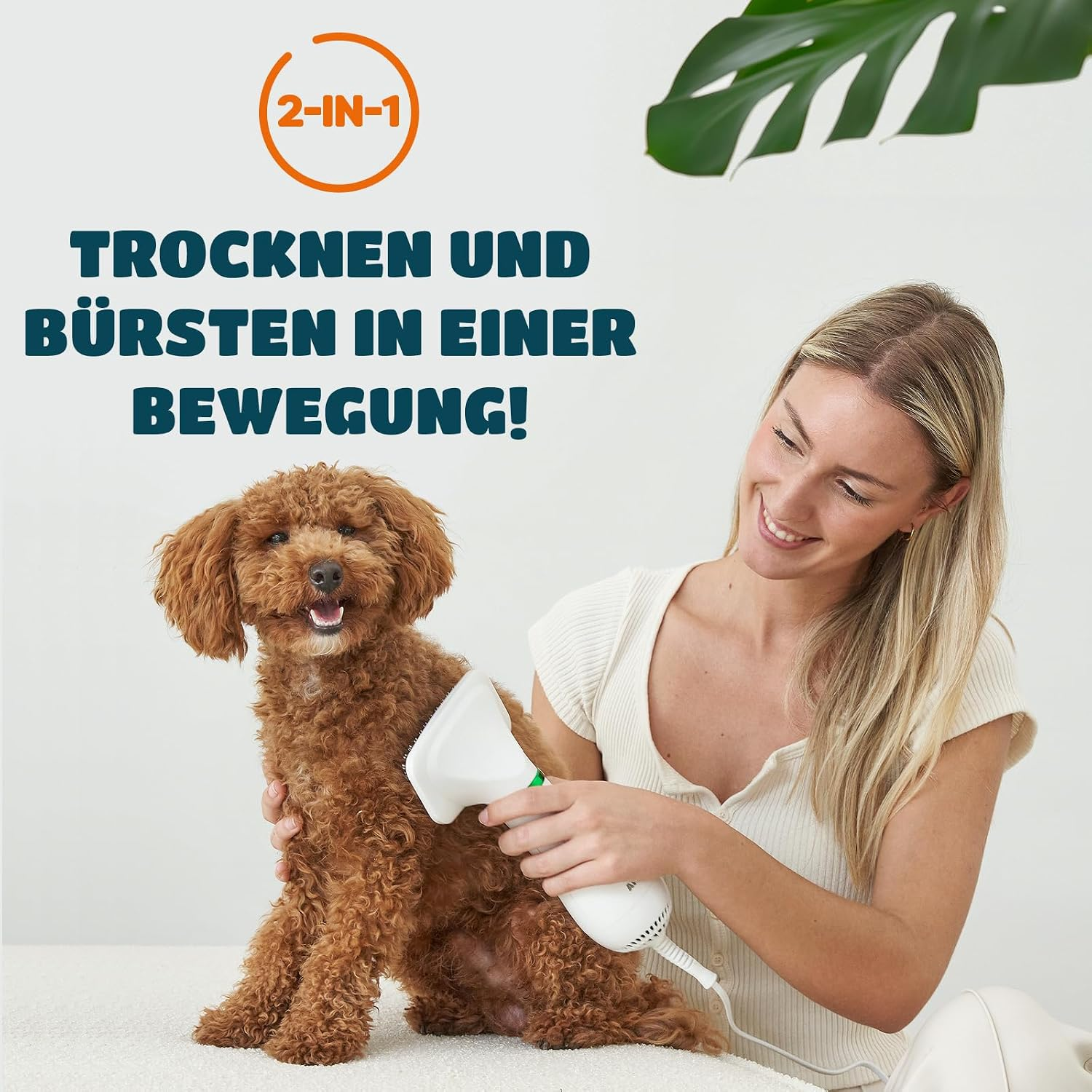 Eine lächelnde blonde Frau benutzt eine weiße Haustier-Trockenbürste an einem flauschigen braunen Pudel.