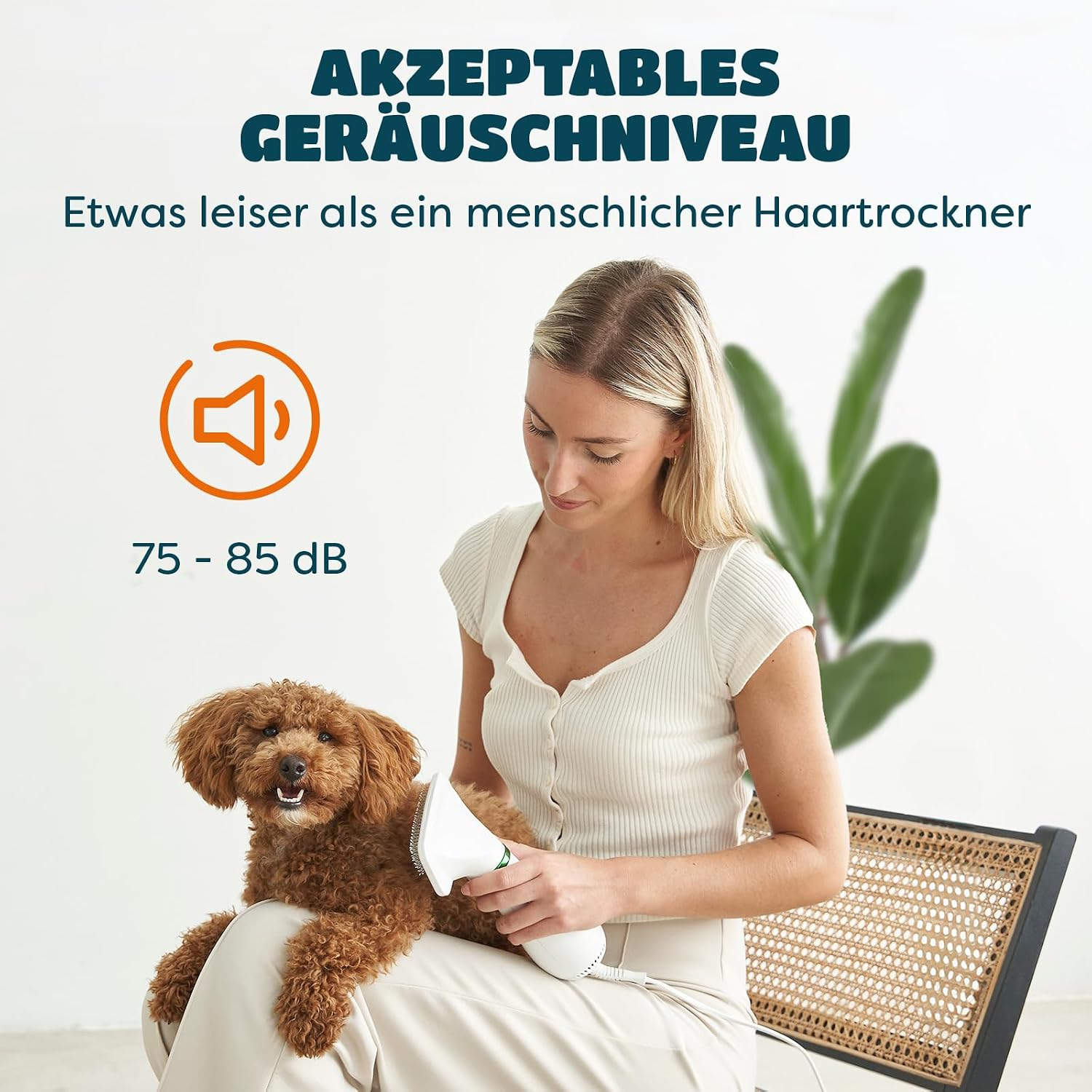 Frau bürstet kleinen braunen Pudel auf ihrem Schoß, daneben Text über Geräuschpegel.