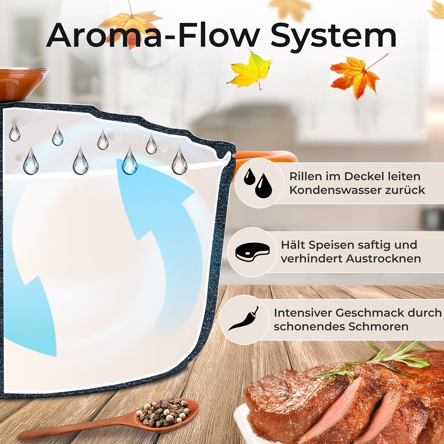 Diagramm zum Aroma-Flow-System mit Kochtopf, Kondenswasser, Gewürzen und gebratenem Fleisch.