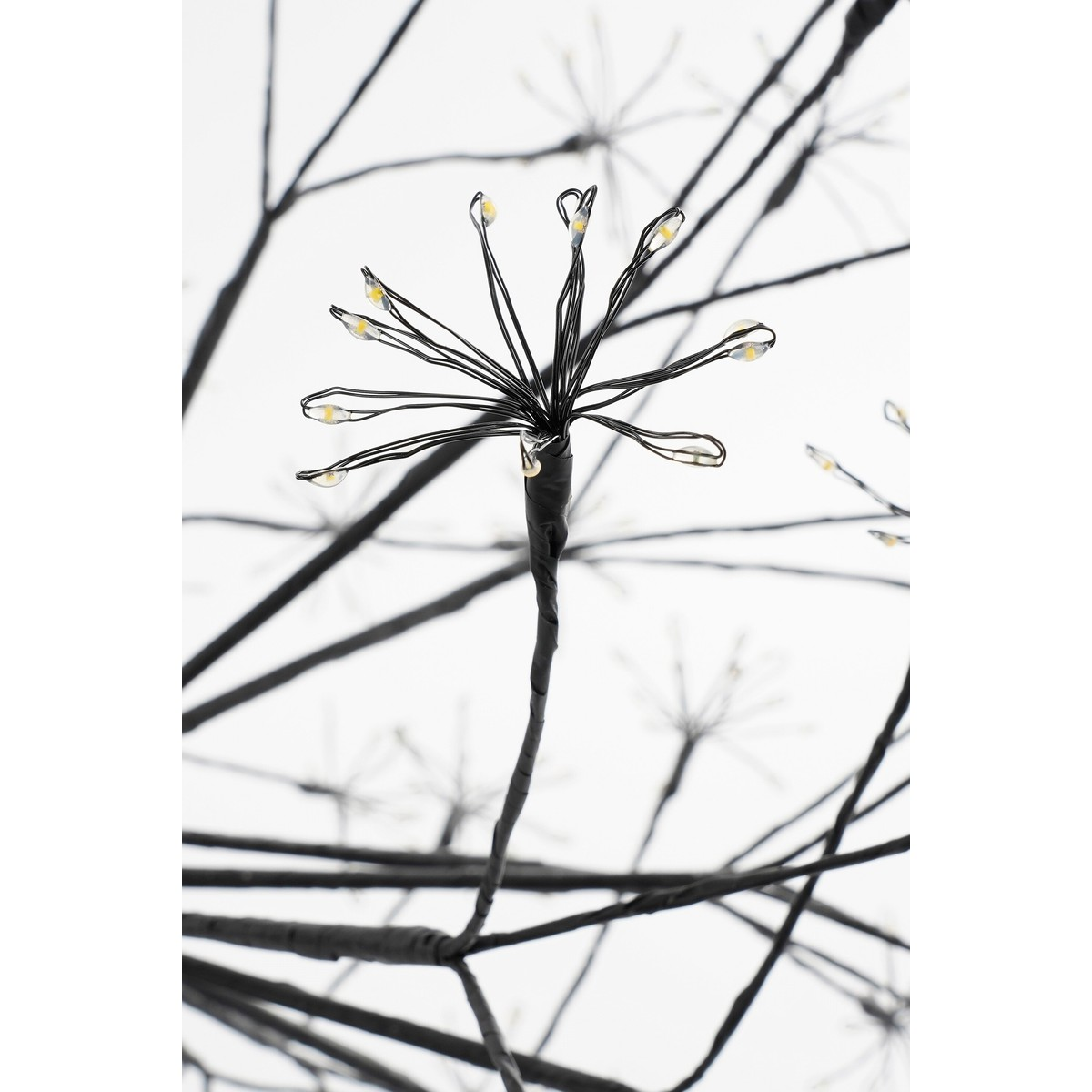 Black wire light with tiny LED bulbs shaped like a delicate bloom against a white background.