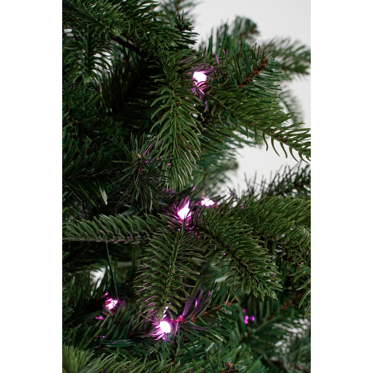 Green branches of a Christmas tree with small glowing pink lights.