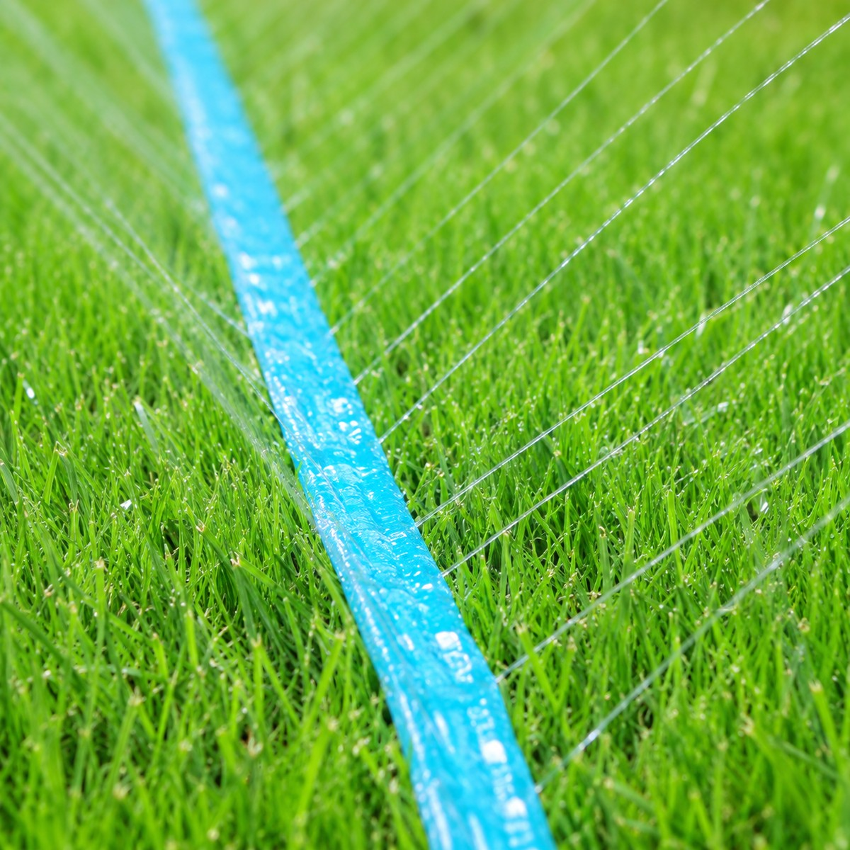 A blue sprinkler hose lies on green grass, spraying fine streams of water.
