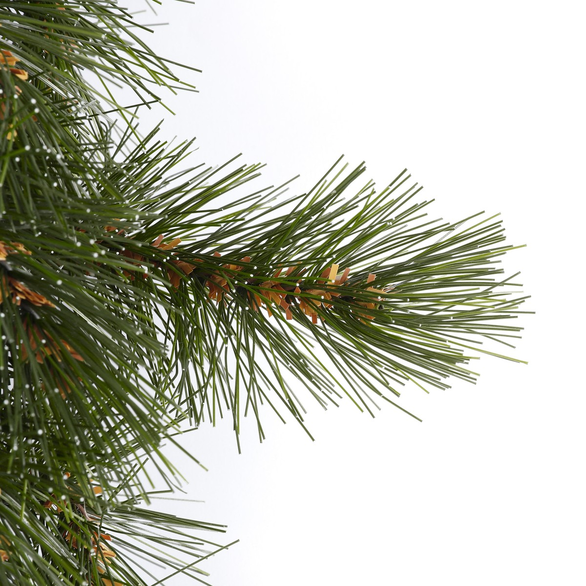 Green pine branches with brown accents on a white background.