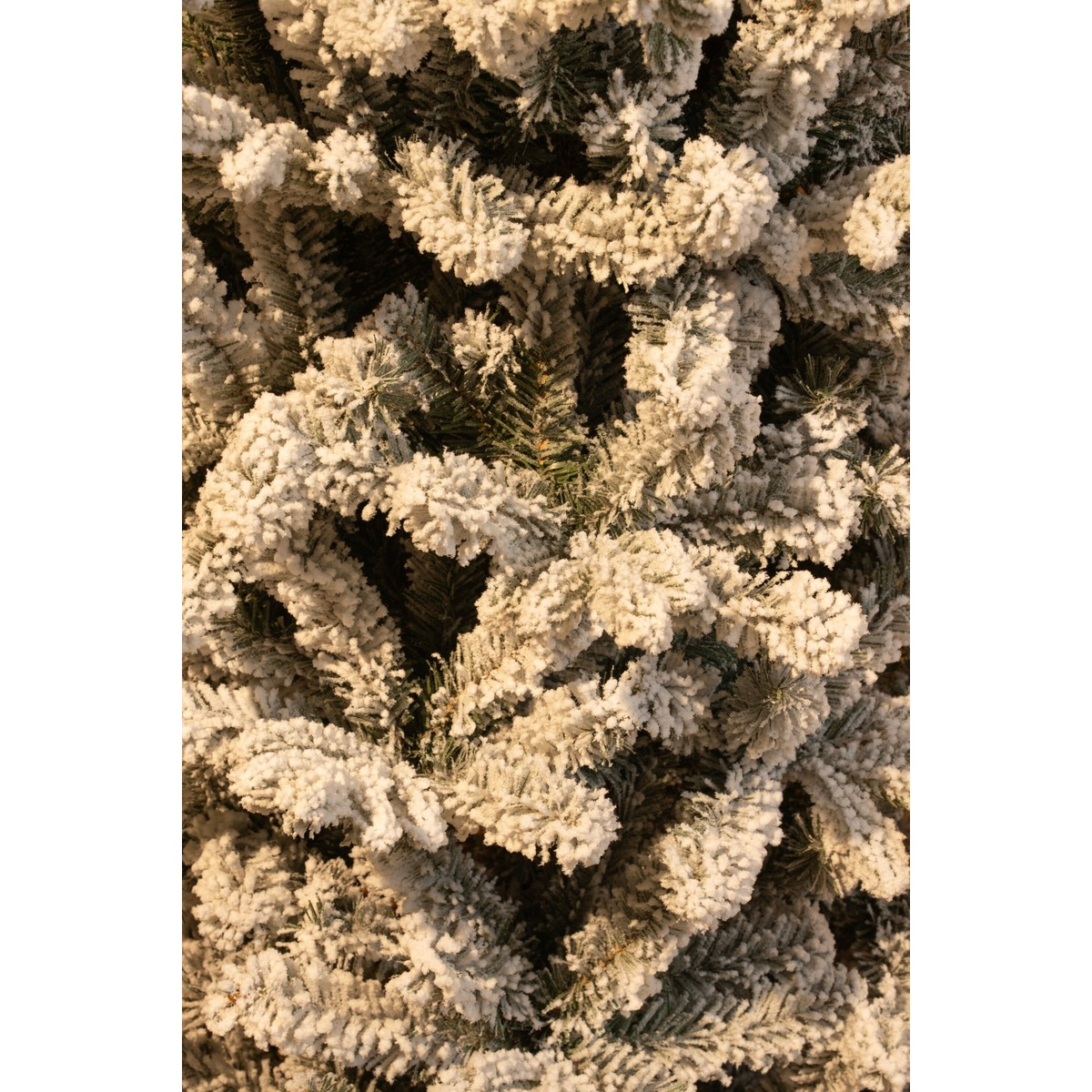 Densely snow-covered green branches of a fir tree in bright sunlight.