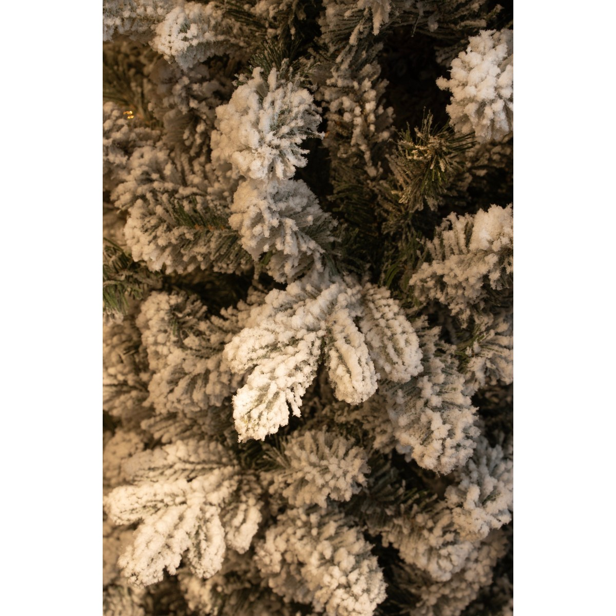 Close-up of dense green pine branches covered with a thick layer of artificial snow.