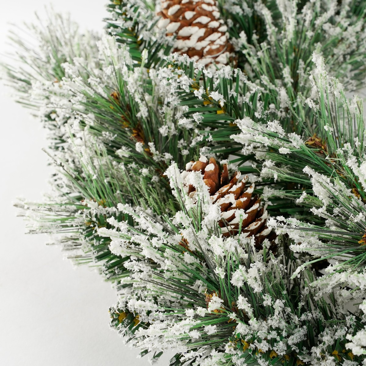 Snow-covered pine branches with cones on a light background.