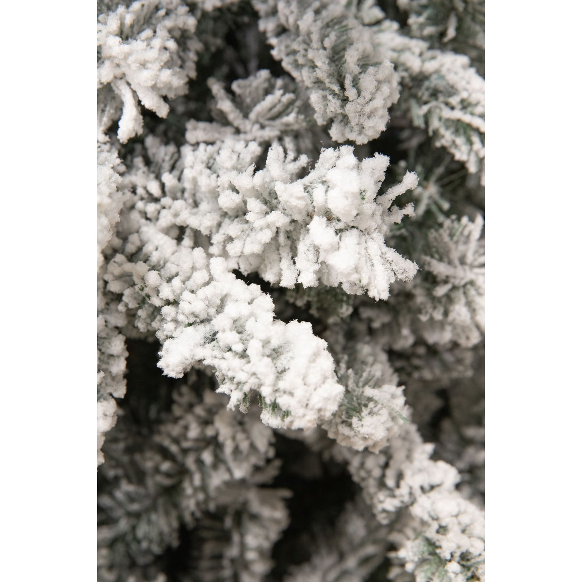 Close-up of dense pine foliage heavily covered with artificial snow.