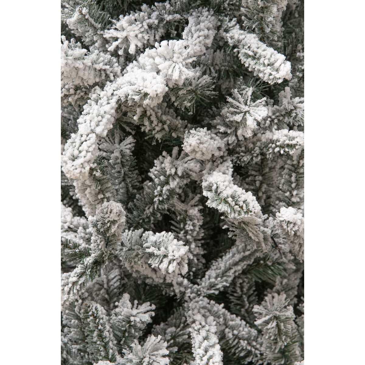 Close-up view of densely layered pine branches heavily covered in artificial snow.