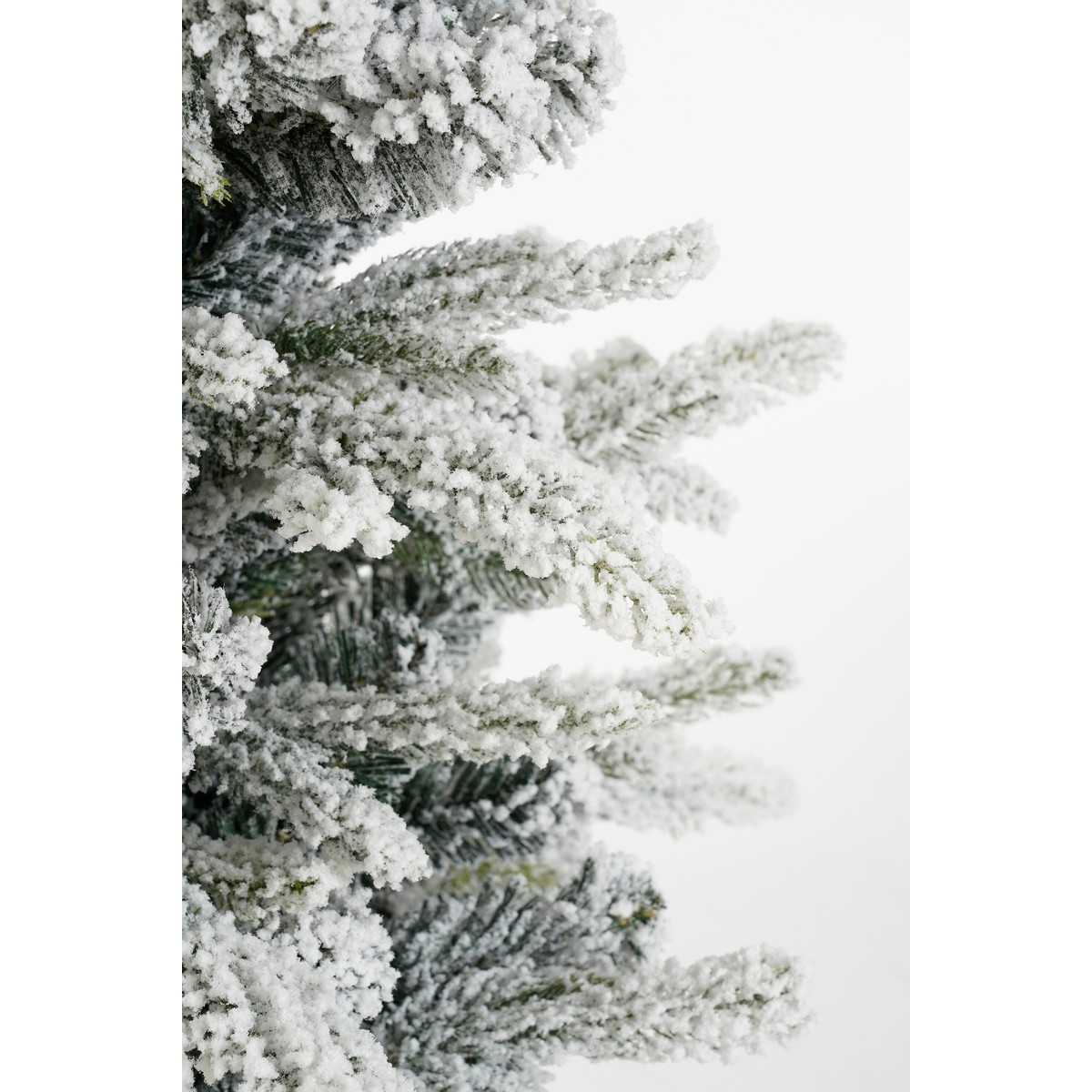 Snow-covered artificial pine tree branches against a white background.