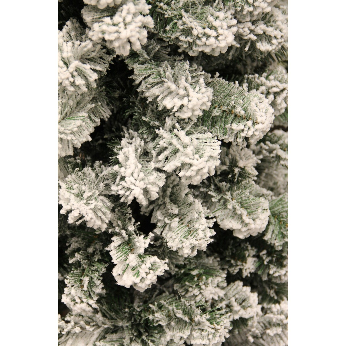 Close-up of densely snow-covered green pine branches.