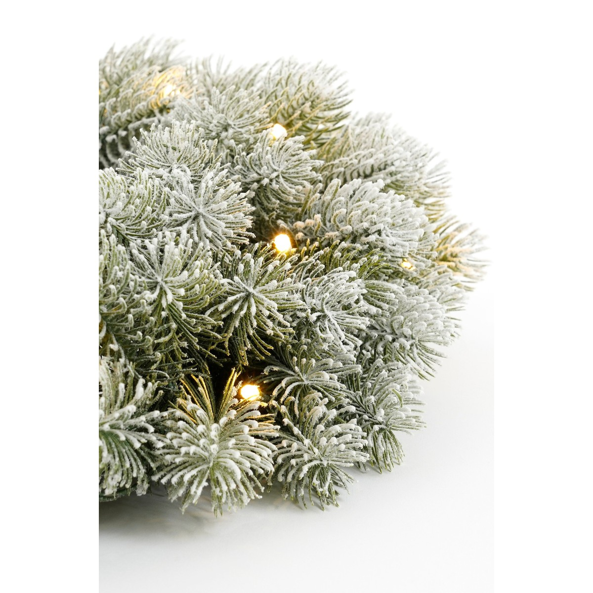 Snowy pine branch with warm white string lights on a white background.