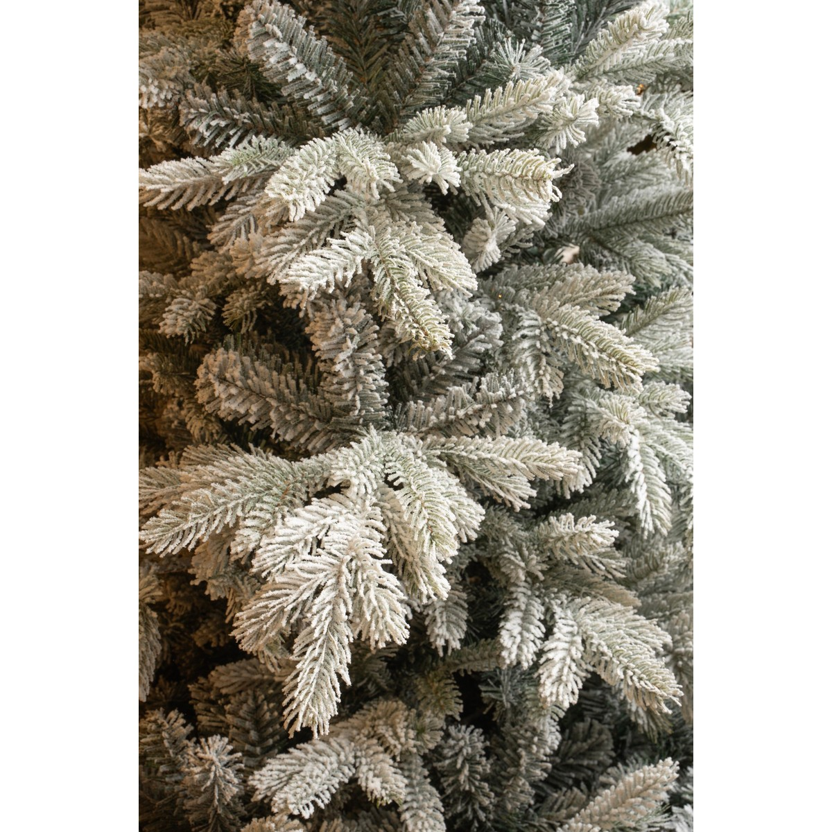 Dense pine branches covered with artificial snow.