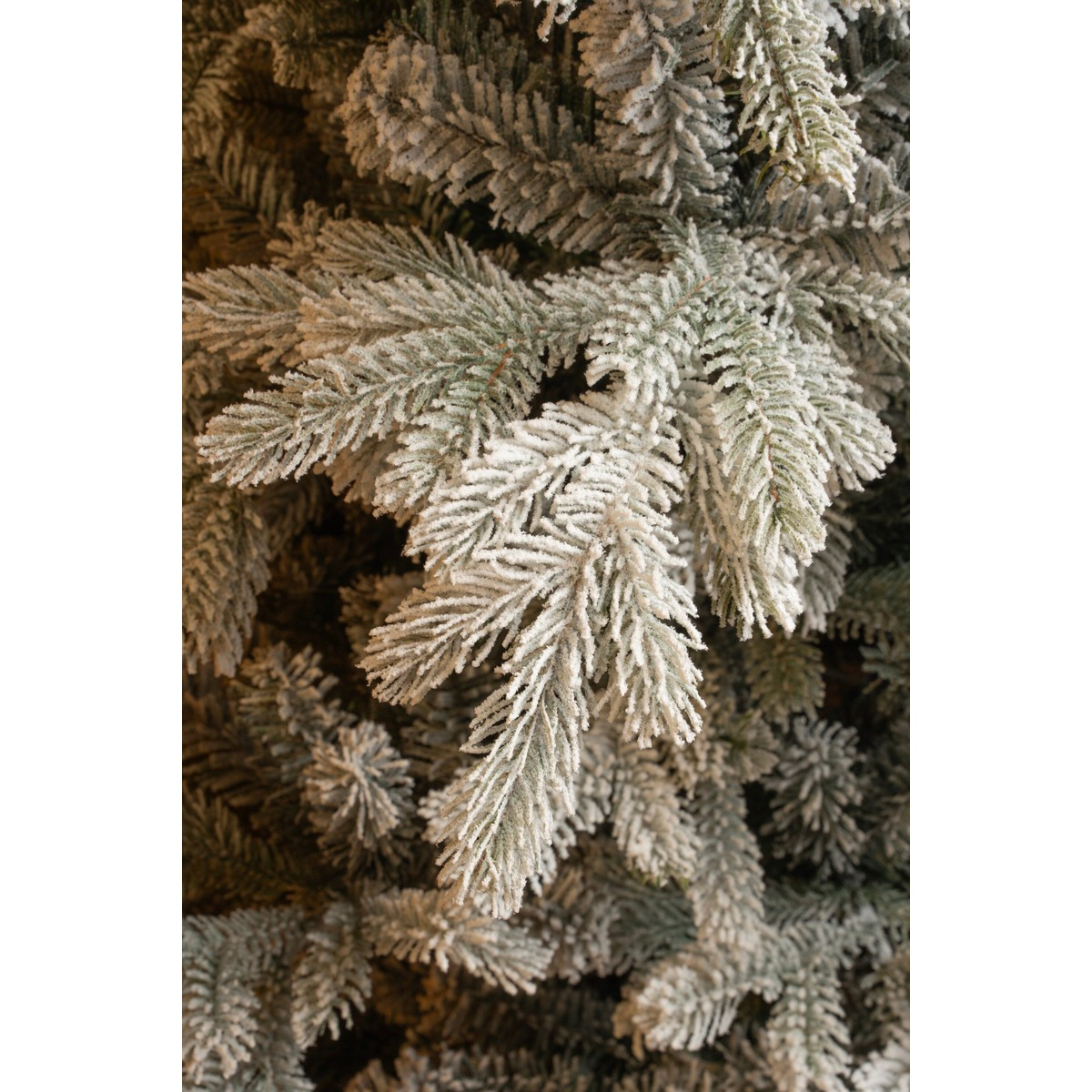 Close-up of snow-covered pine tree branches with a dense white winter coating.